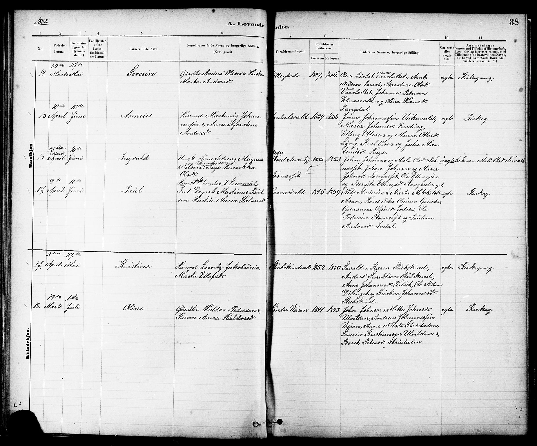 Ministerialprotokoller, klokkerbøker og fødselsregistre - Nord-Trøndelag, AV/SAT-A-1458/724/L0267: Parish register (copy) no. 724C03, 1879-1898, p. 38