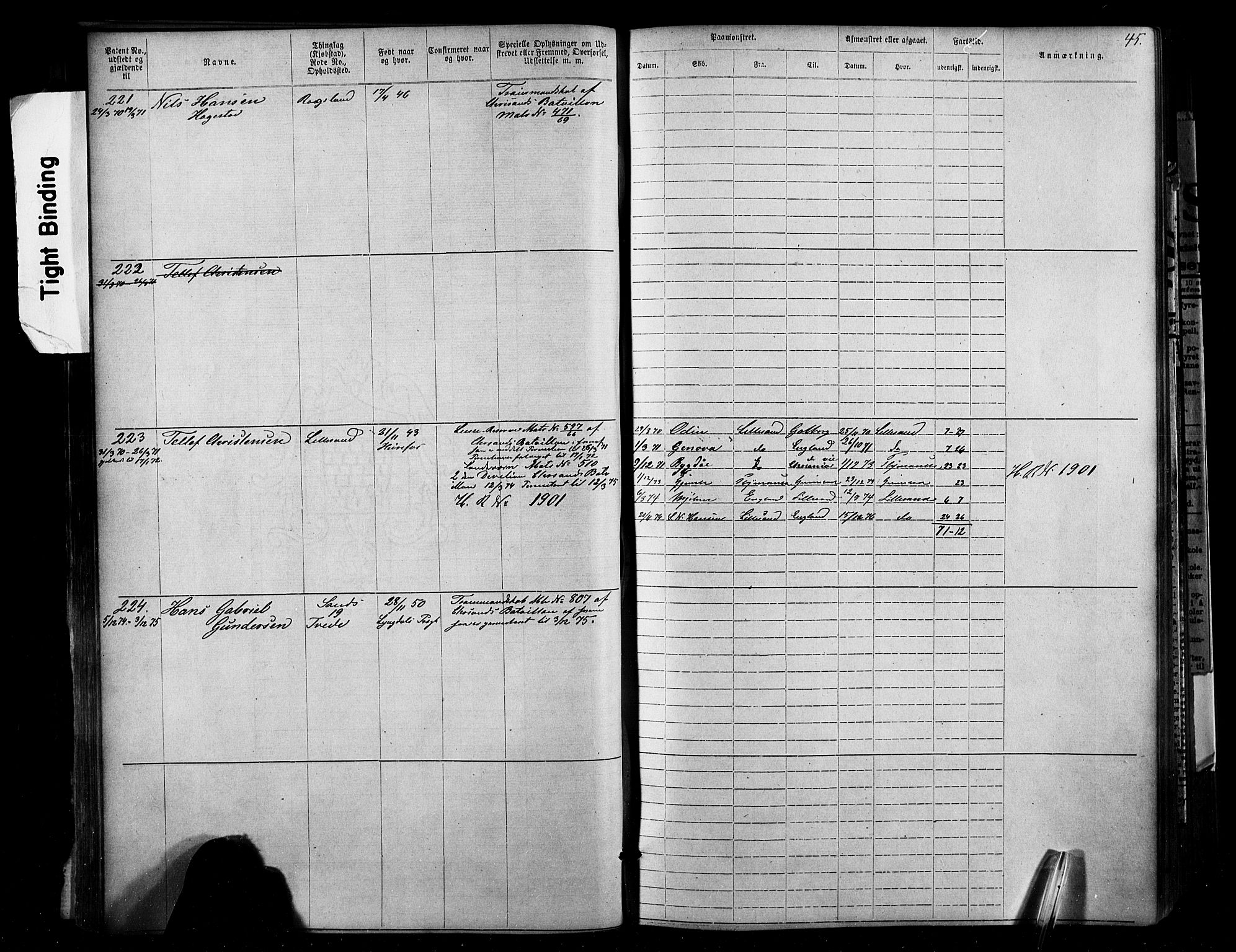 Lillesand mønstringskrets, AV/SAK-2031-0014/F/Fa/L0002: Annotasjonsrulle nr 1-1910 med register, W-8, 1868-1891, p. 60