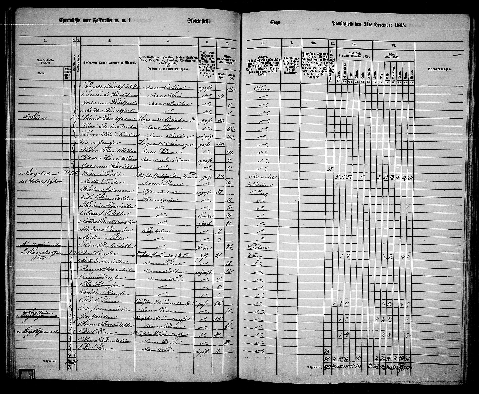 RA, 1865 census for Vang/Vang og Furnes, 1865, p. 210