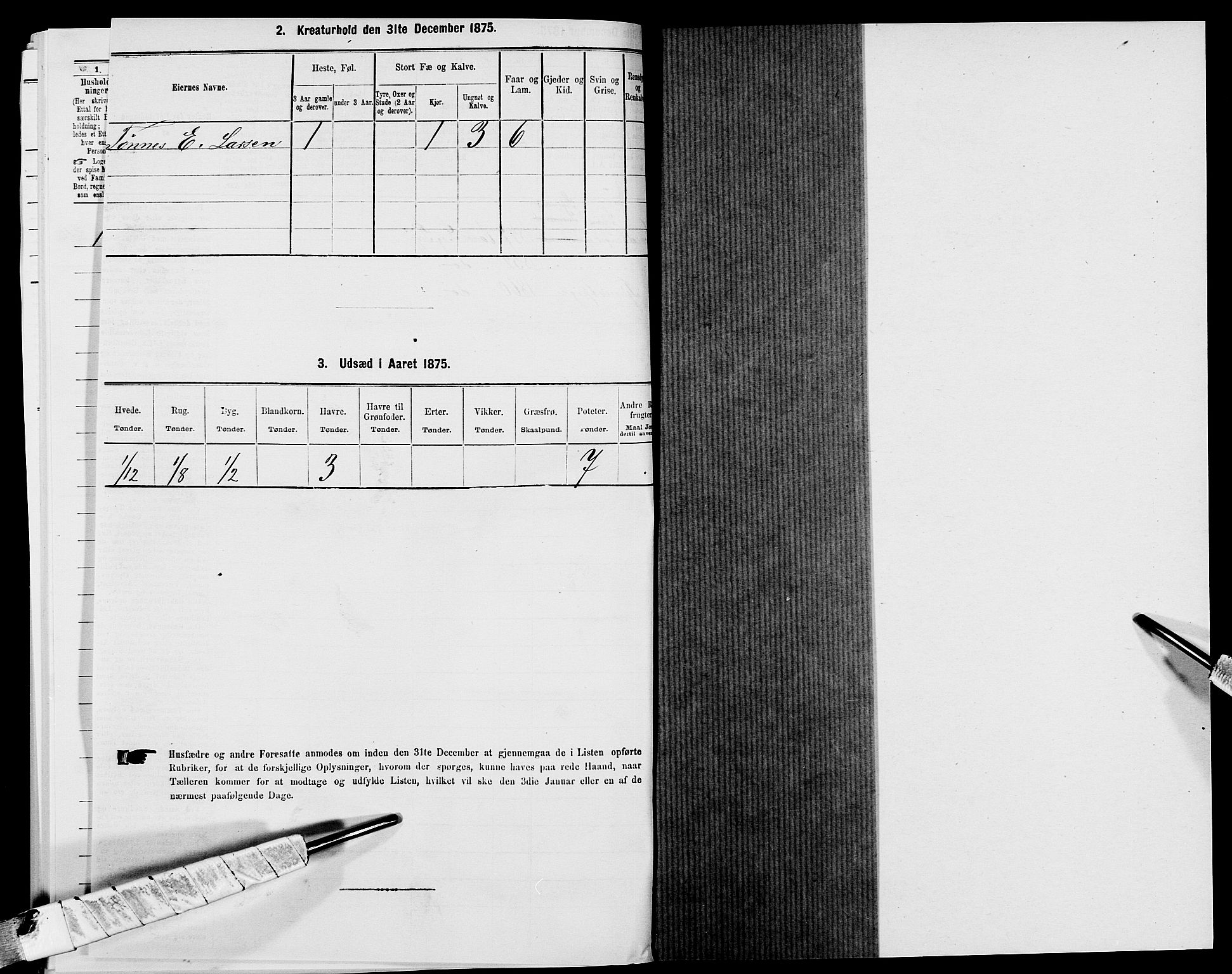 SAK, 1875 census for 1041L Vanse/Vanse og Farsund, 1875, p. 690