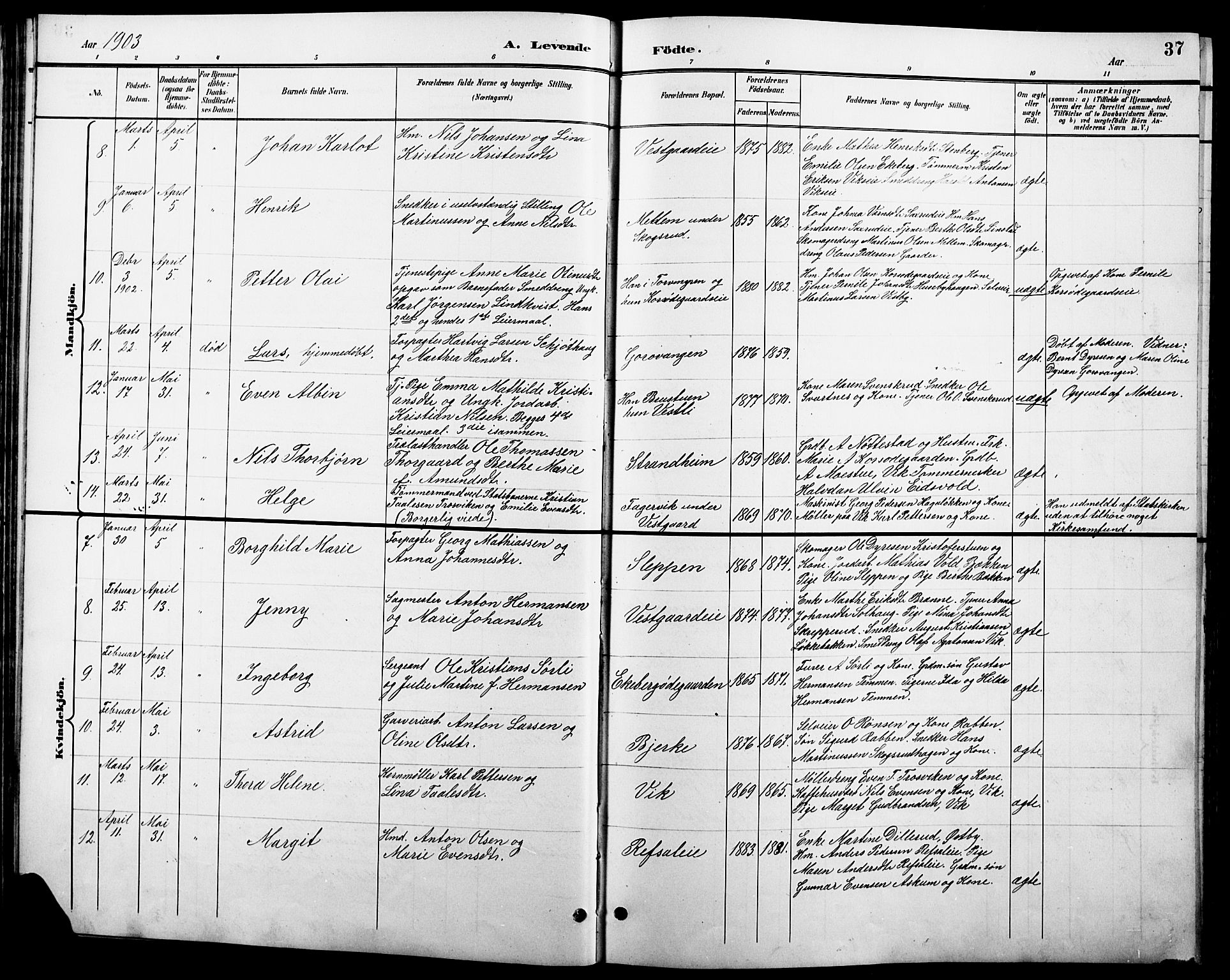 Stange prestekontor, SAH/PREST-002/L/L0011: Parish register (copy) no. 11, 1895-1917, p. 37