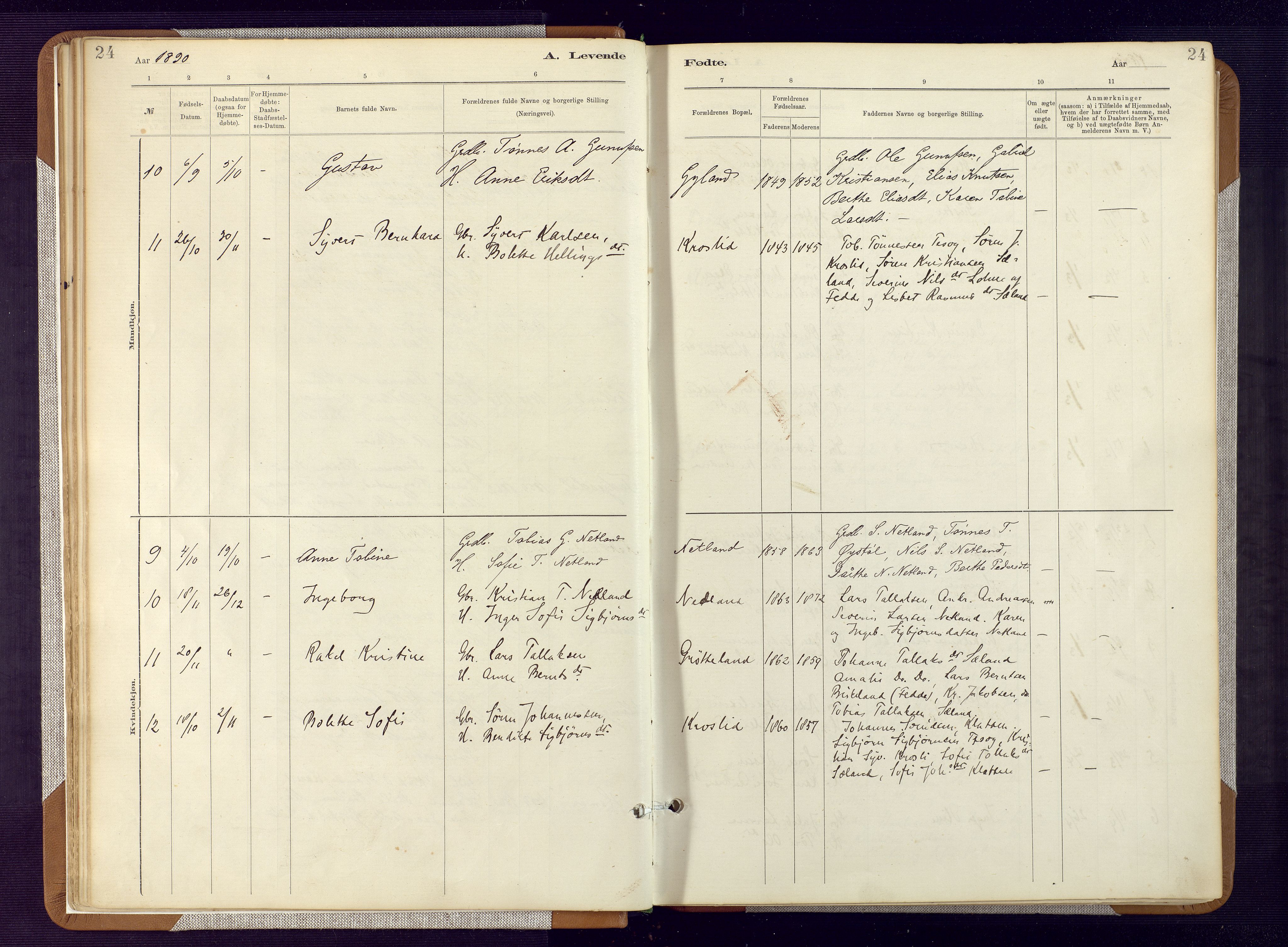 Bakke sokneprestkontor, AV/SAK-1111-0002/F/Fa/Fab/L0003: Parish register (official) no. A 3, 1884-1921, p. 24