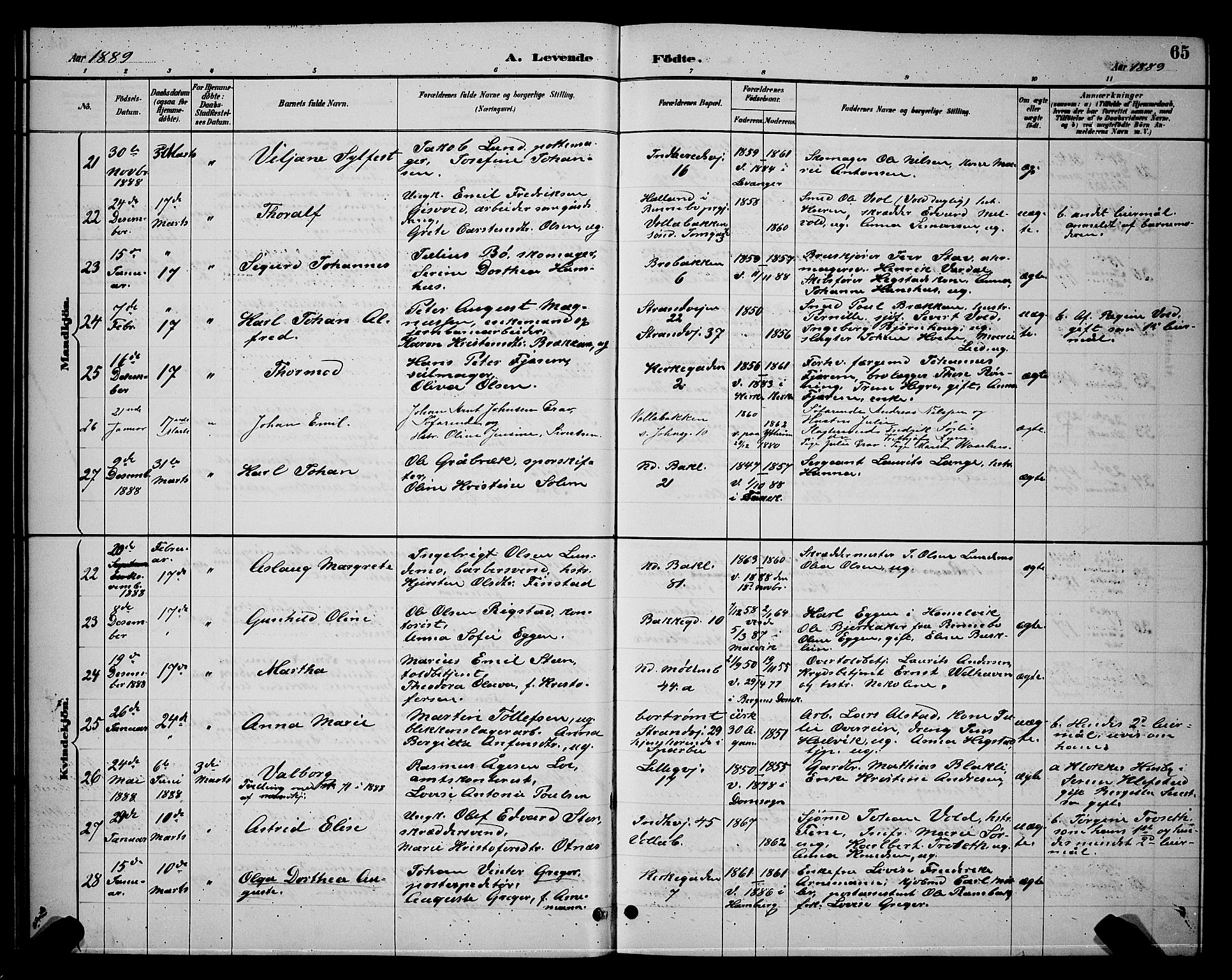 Ministerialprotokoller, klokkerbøker og fødselsregistre - Sør-Trøndelag, SAT/A-1456/604/L0222: Parish register (copy) no. 604C05, 1886-1895, p. 65
