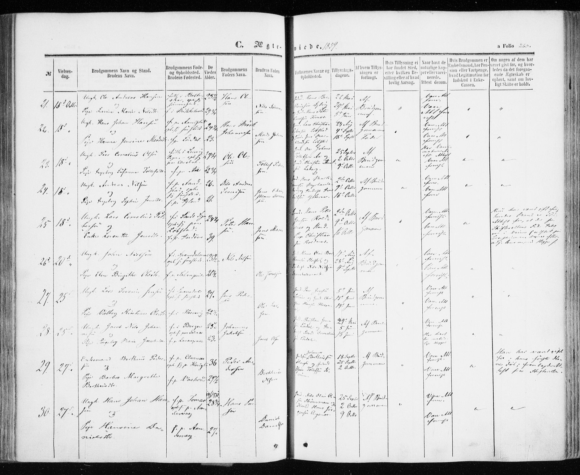 Ibestad sokneprestembete, SATØ/S-0077/H/Ha/Haa/L0009kirke: Parish register (official) no. 9, 1859-1868, p. 260
