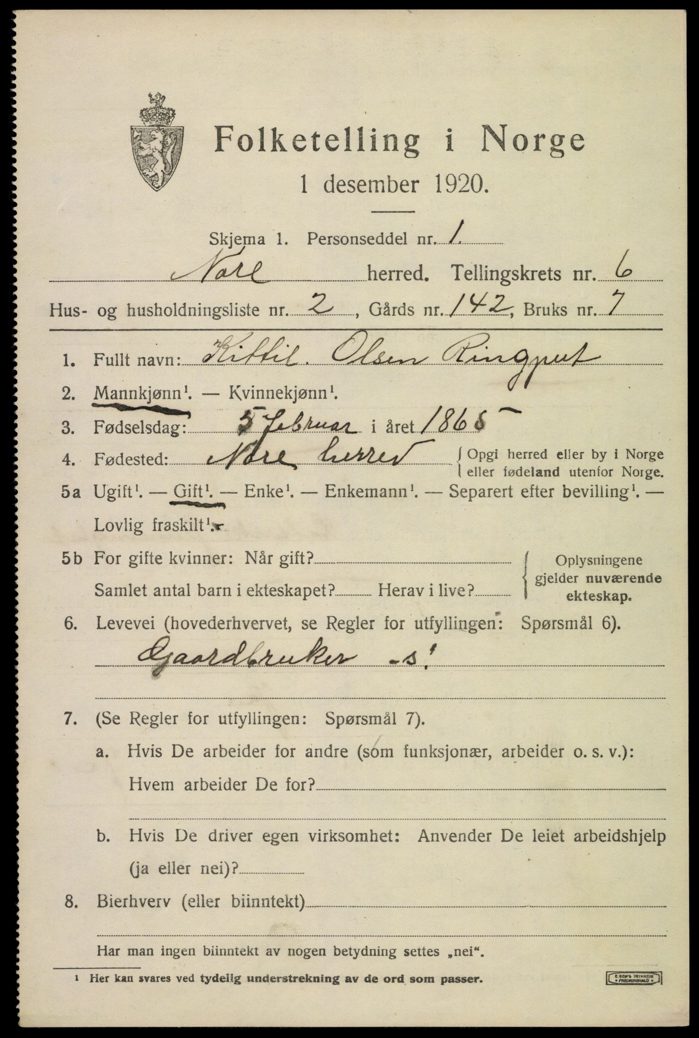 SAKO, 1920 census for Nore, 1920, p. 2490