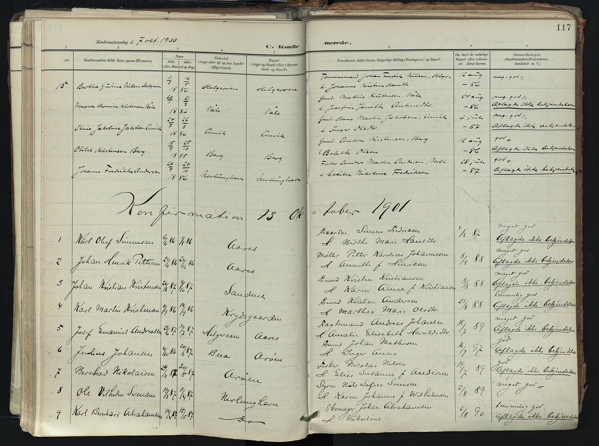 Brunlanes kirkebøker, SAKO/A-342/F/Fb/L0003: Parish register (official) no. II 3, 1900-1922, p. 117