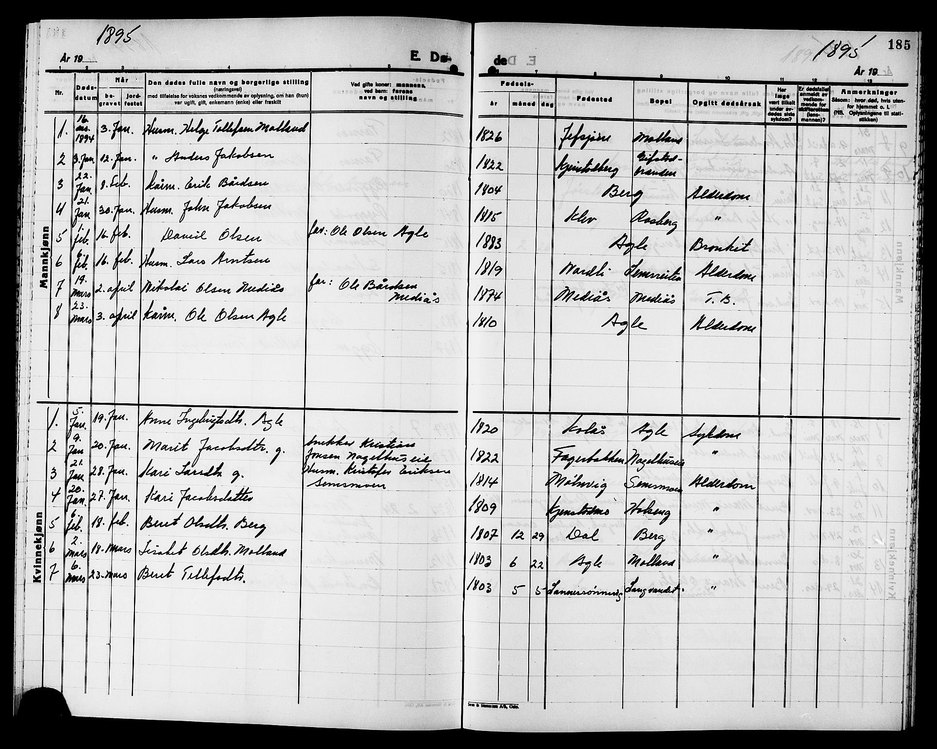 Ministerialprotokoller, klokkerbøker og fødselsregistre - Nord-Trøndelag, SAT/A-1458/749/L0487: Parish register (official) no. 749D03, 1887-1902, p. 185