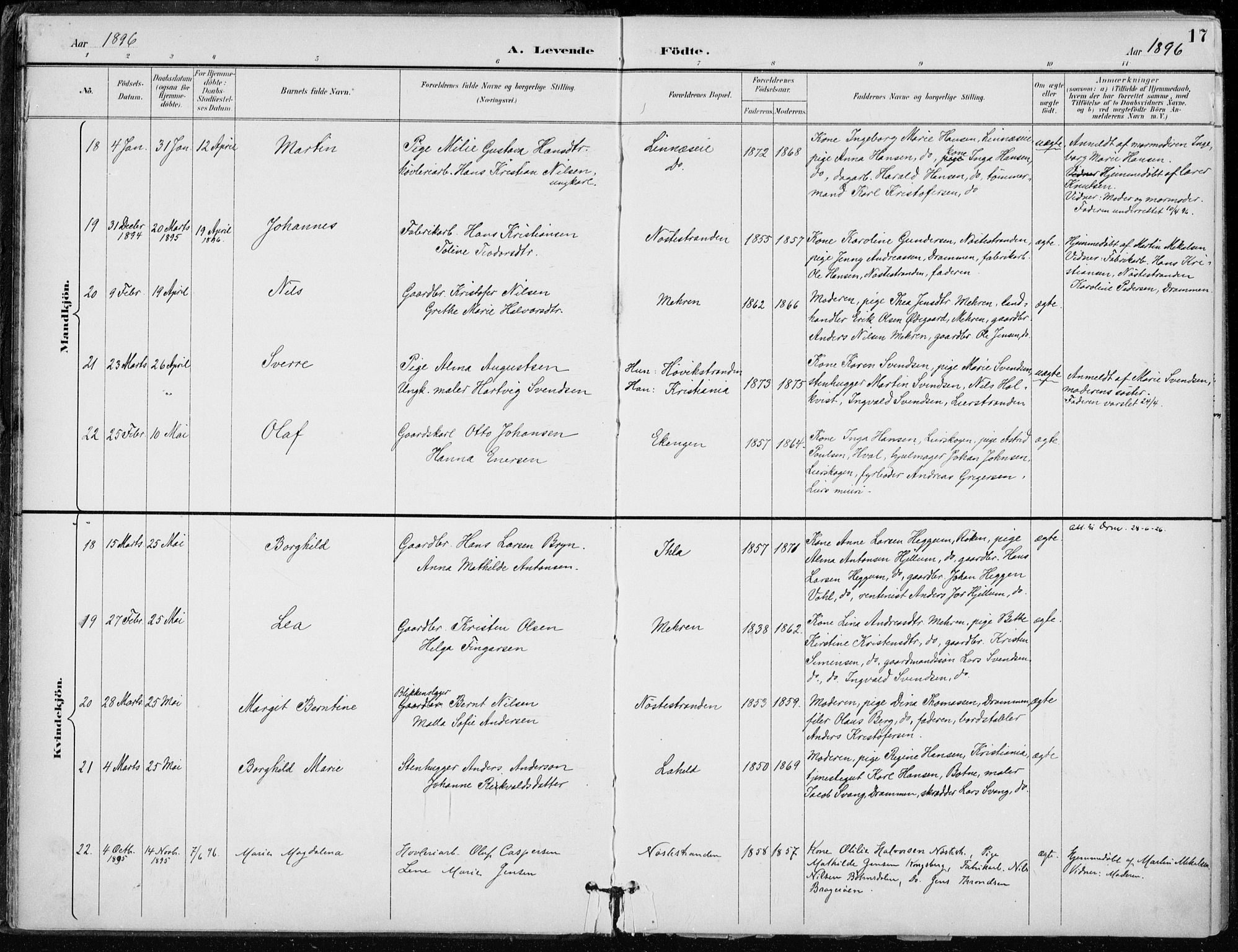 Lier kirkebøker, AV/SAKO-A-230/F/Fa/L0016: Parish register (official) no. I 16, 1895-1900, p. 17