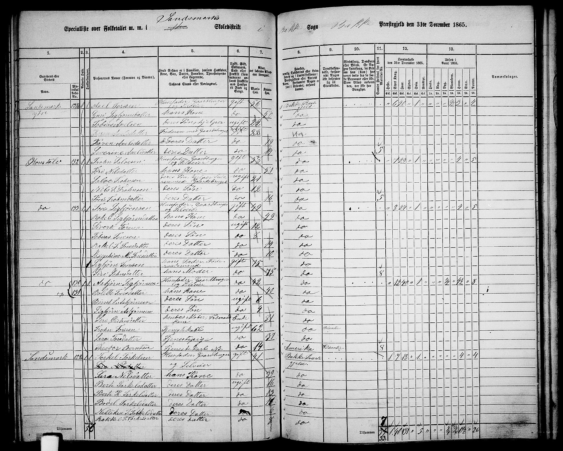 RA, 1865 census for Bakke, 1865, p. 86