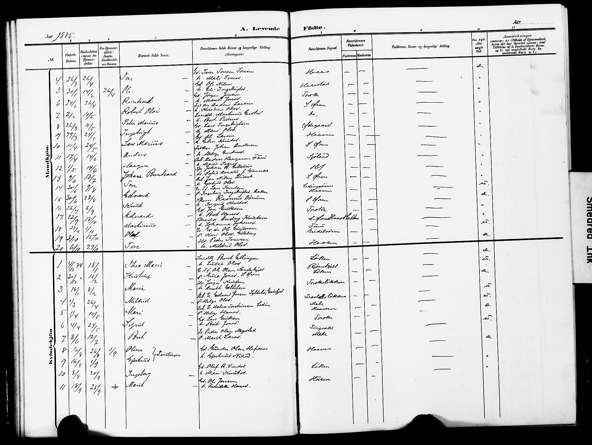 Ministerialprotokoller, klokkerbøker og fødselsregistre - Møre og Romsdal, AV/SAT-A-1454/590/L1017: Parish register (copy) no. 590C02, 1869-1931