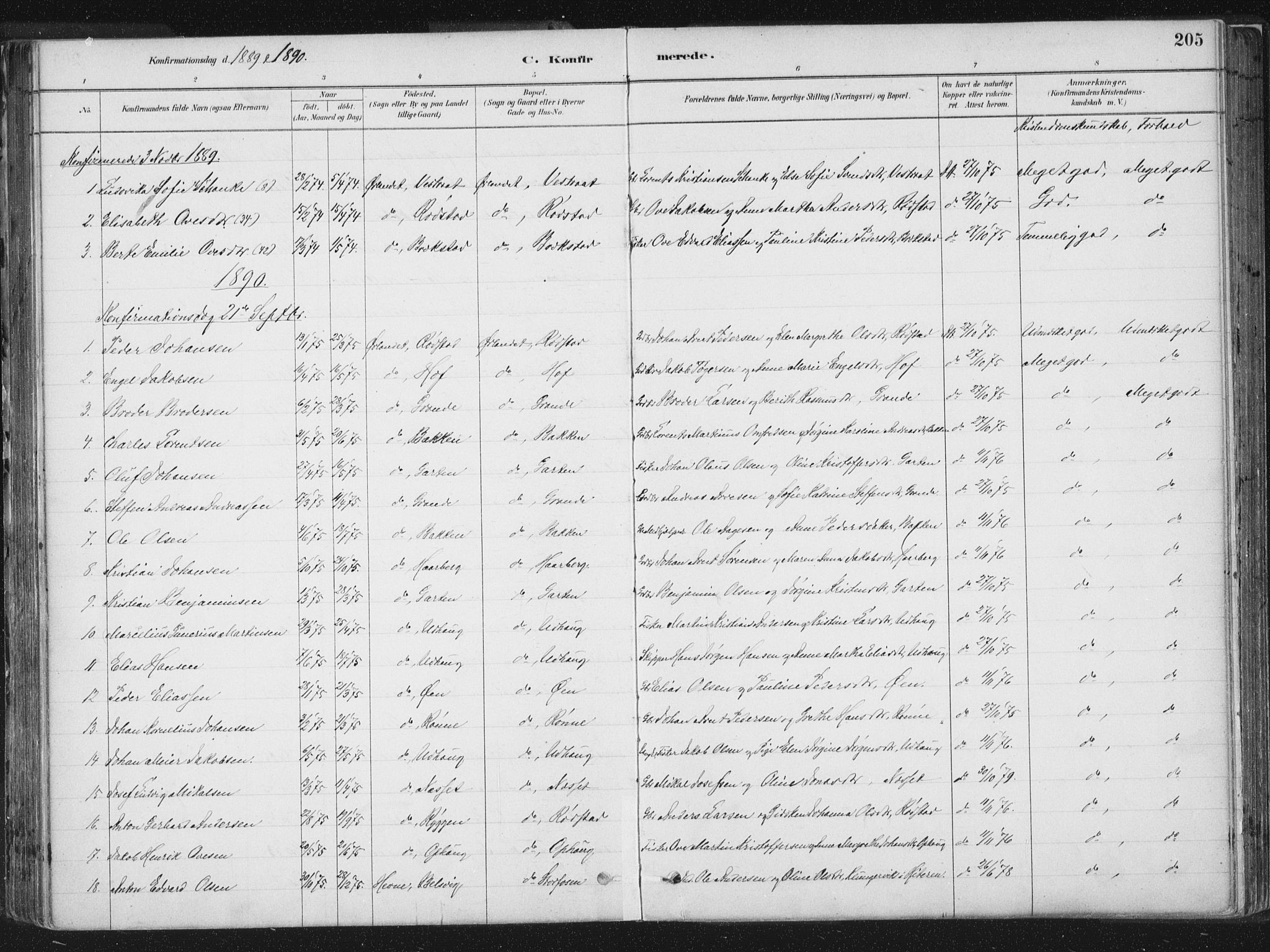 Ministerialprotokoller, klokkerbøker og fødselsregistre - Sør-Trøndelag, AV/SAT-A-1456/659/L0739: Parish register (official) no. 659A09, 1879-1893, p. 205