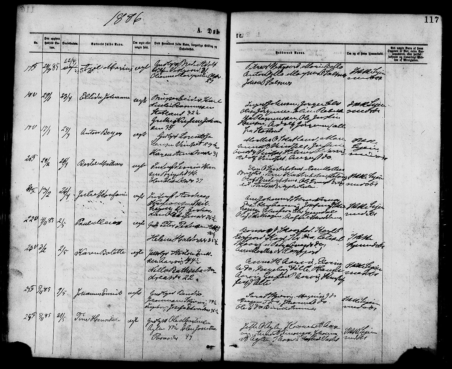 Ministerialprotokoller, klokkerbøker og fødselsregistre - Nord-Trøndelag, AV/SAT-A-1458/773/L0616: Parish register (official) no. 773A07, 1870-1887, p. 117