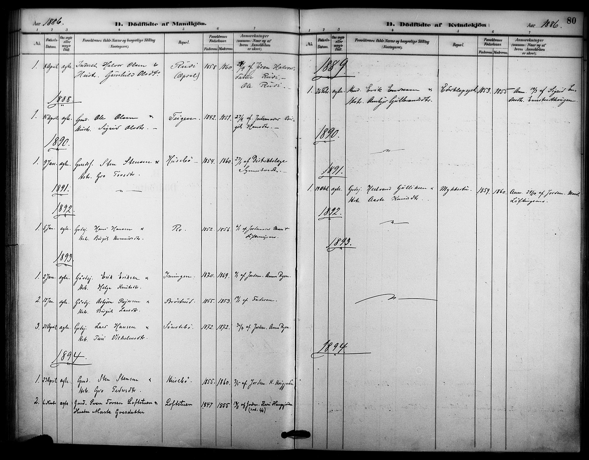 Nore kirkebøker, SAKO/A-238/F/Fc/L0004: Parish register (official) no. III 4, 1885-1898, p. 80