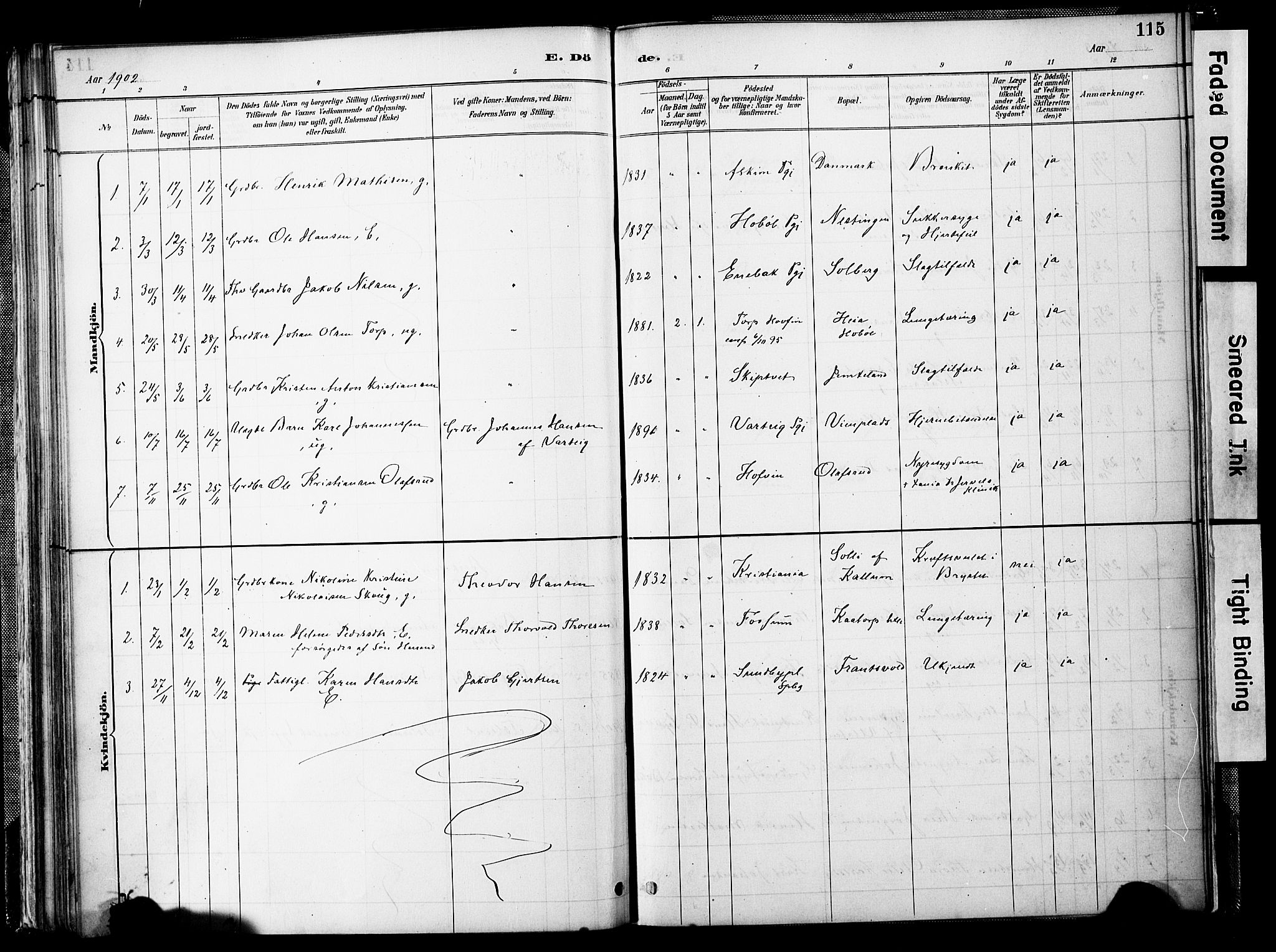 Spydeberg prestekontor Kirkebøker, SAO/A-10924/F/Fb/L0001: Parish register (official) no. II 1, 1886-1907, p. 115