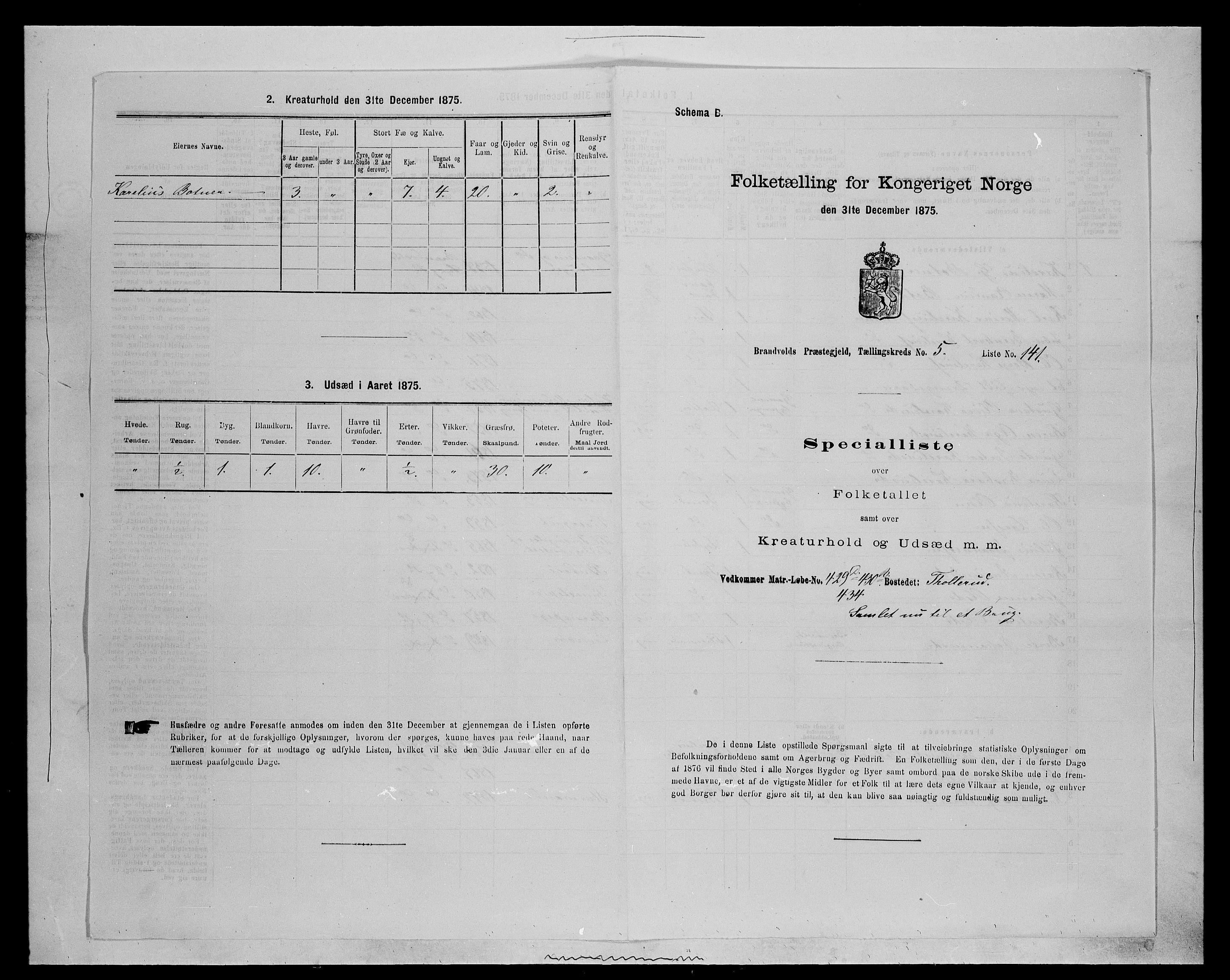 SAH, 1875 census for 0422P Brandval, 1875, p. 1005