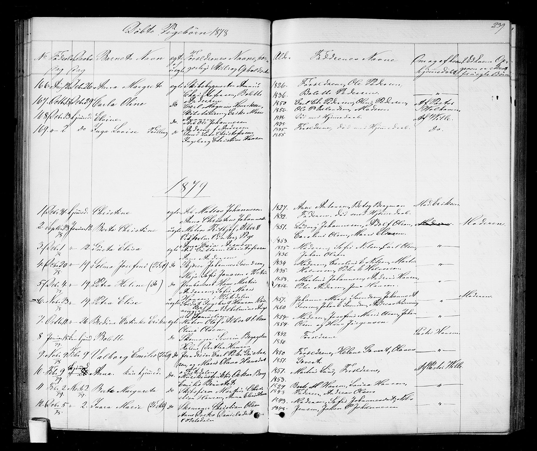 Halden prestekontor Kirkebøker, AV/SAO-A-10909/G/Ga/L0006: Parish register (copy) no. 6, 1869-1884, p. 239