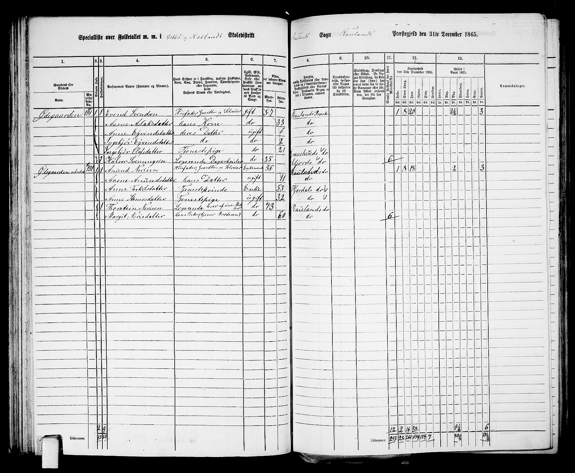 RA, 1865 census for Rauland, 1865, p. 50