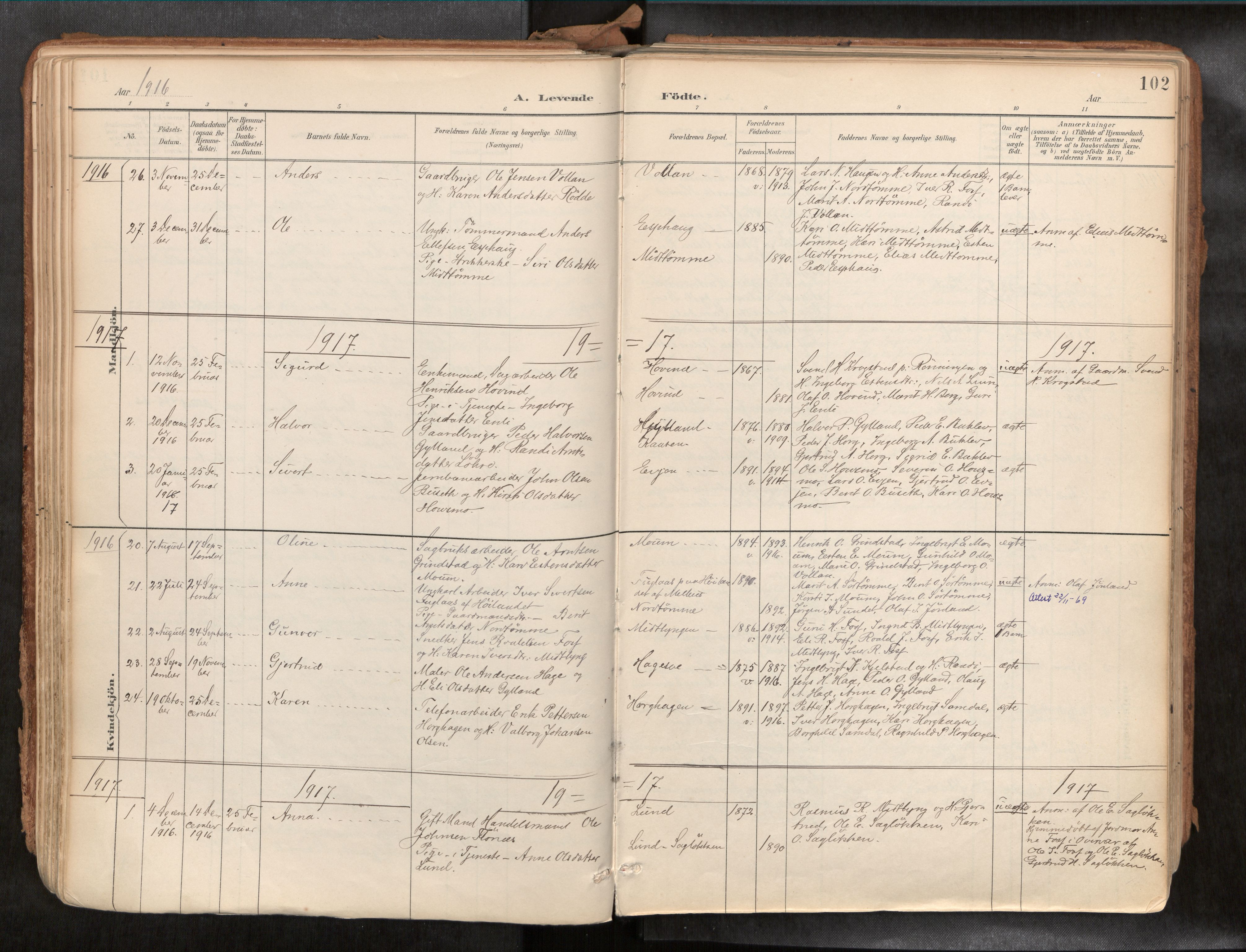 Ministerialprotokoller, klokkerbøker og fødselsregistre - Sør-Trøndelag, AV/SAT-A-1456/692/L1105b: Parish register (official) no. 692A06, 1891-1934, p. 102