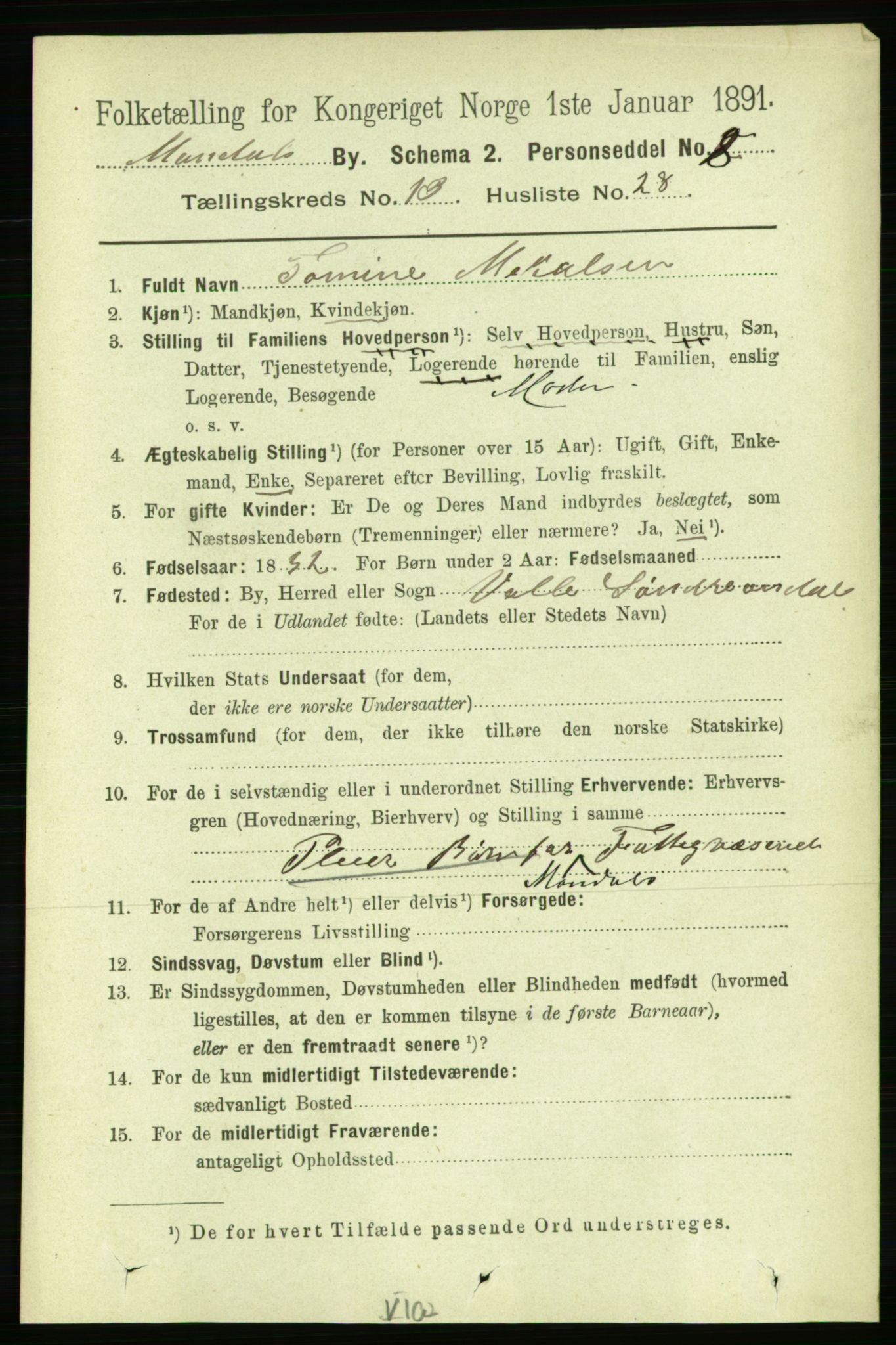 RA, 1891 census for 1002 Mandal, 1891, p. 3153