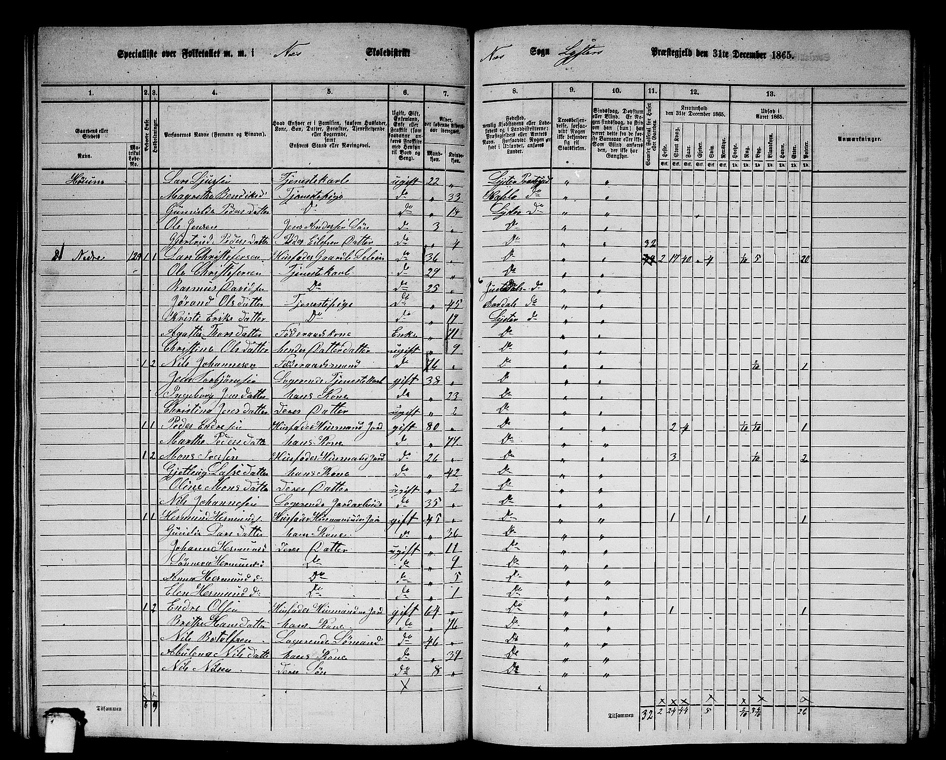 RA, 1865 census for Luster, 1865, p. 118