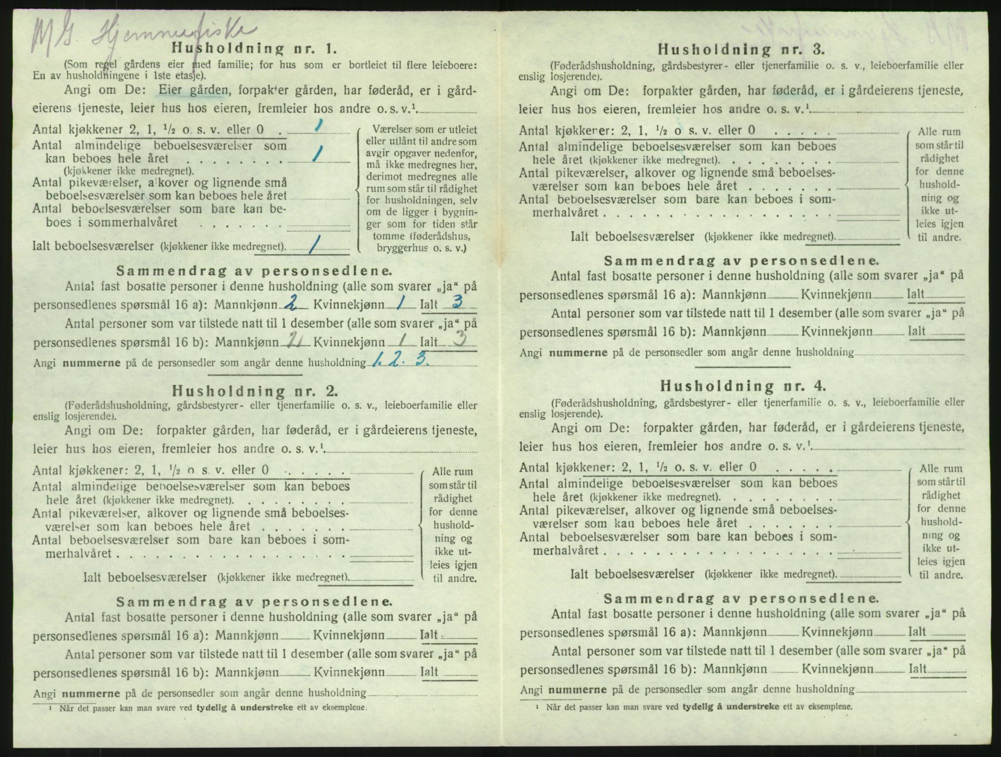 SAKO, 1920 census for Brunlanes, 1920, p. 1728