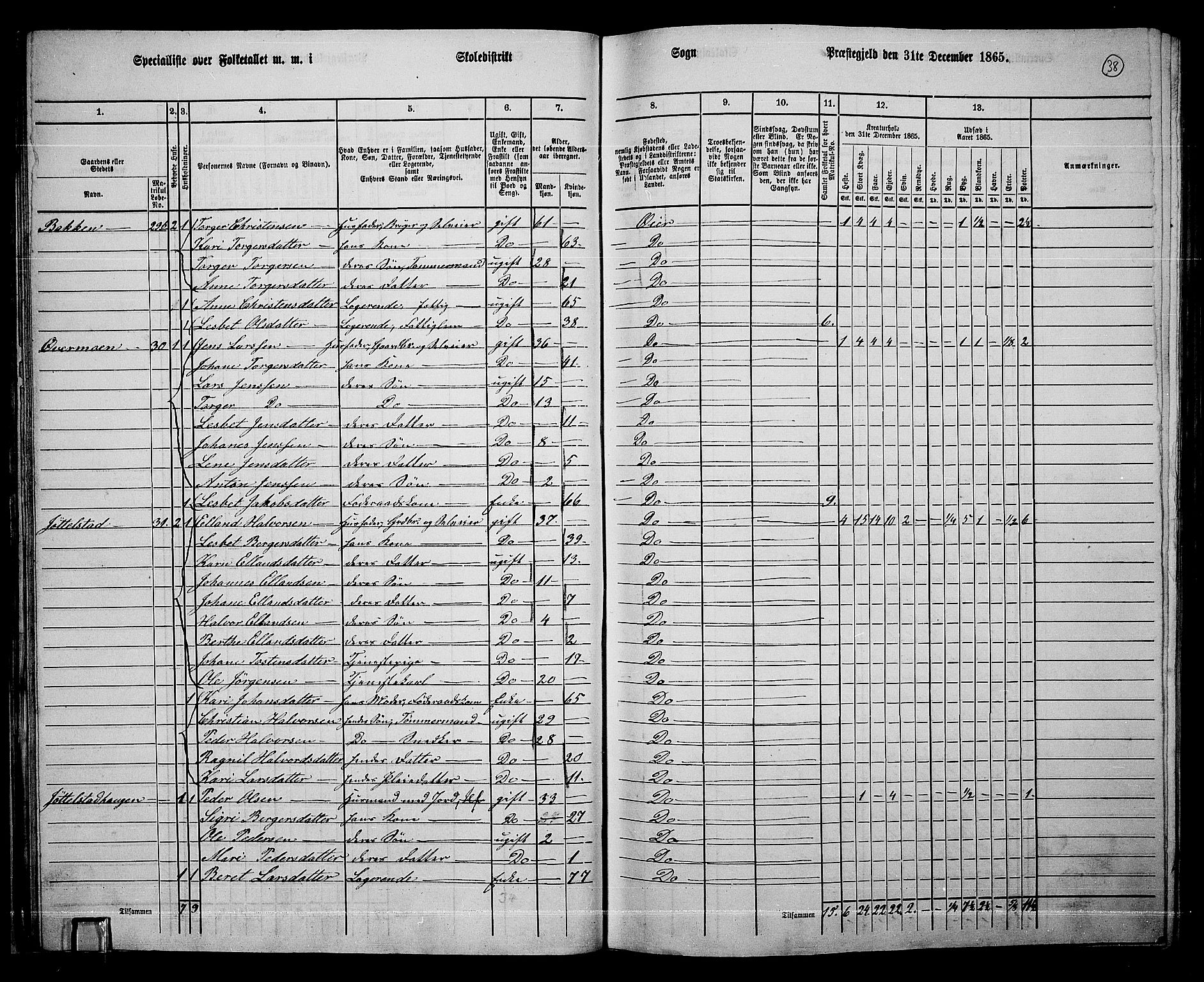 RA, 1865 census for Øyer, 1865, p. 35