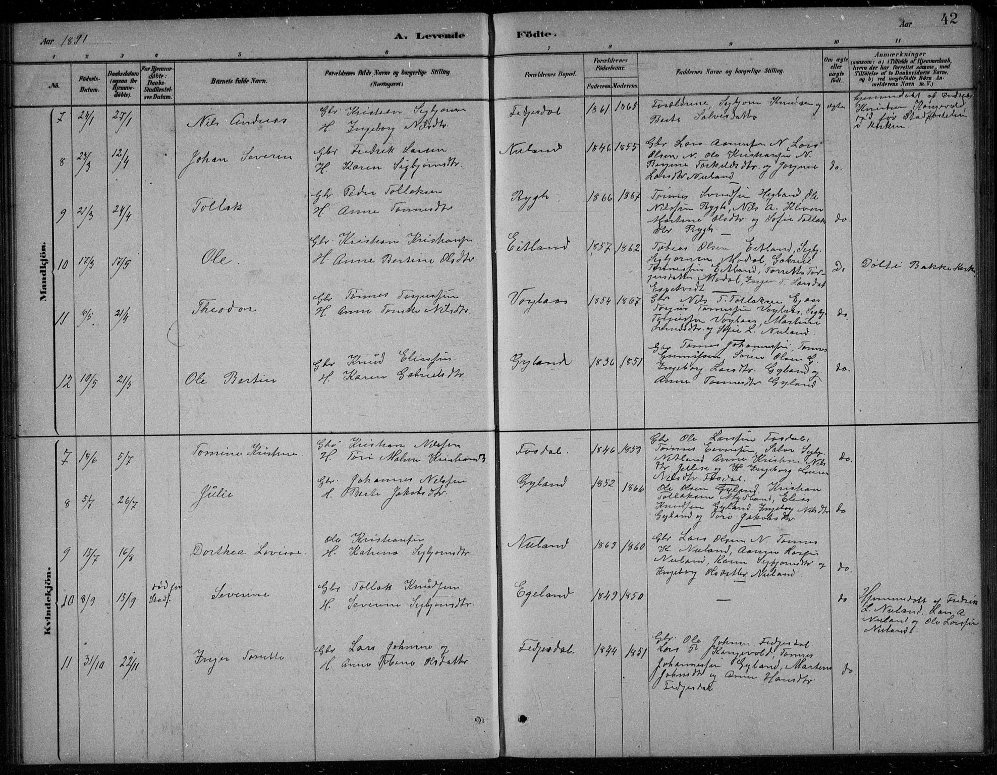 Bakke sokneprestkontor, AV/SAK-1111-0002/F/Fb/Fbb/L0003: Parish register (copy) no. B 3, 1878-1896, p. 42