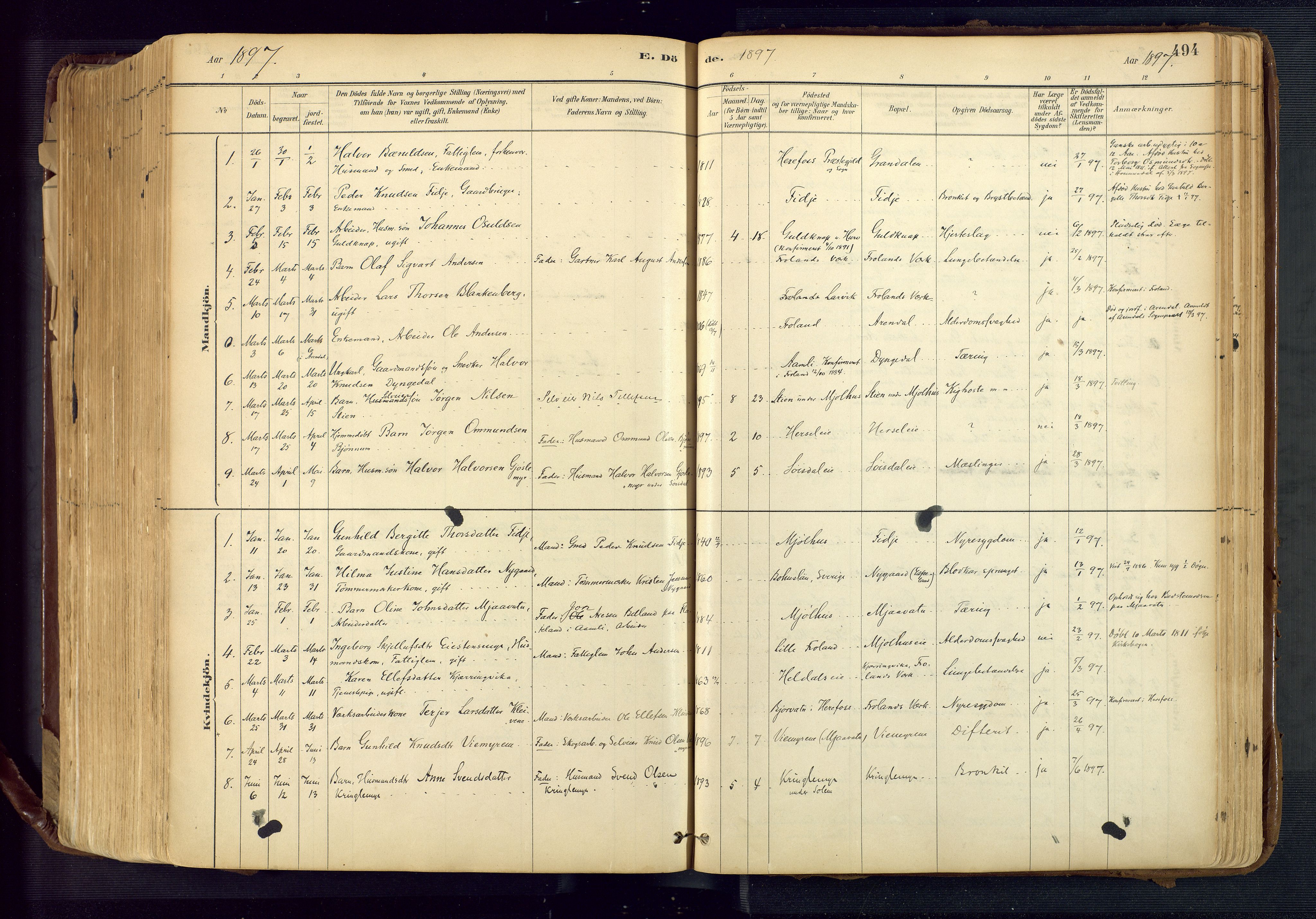 Froland sokneprestkontor, SAK/1111-0013/F/Fa/L0005: Parish register (official) no. A 5, 1882-1921, p. 494