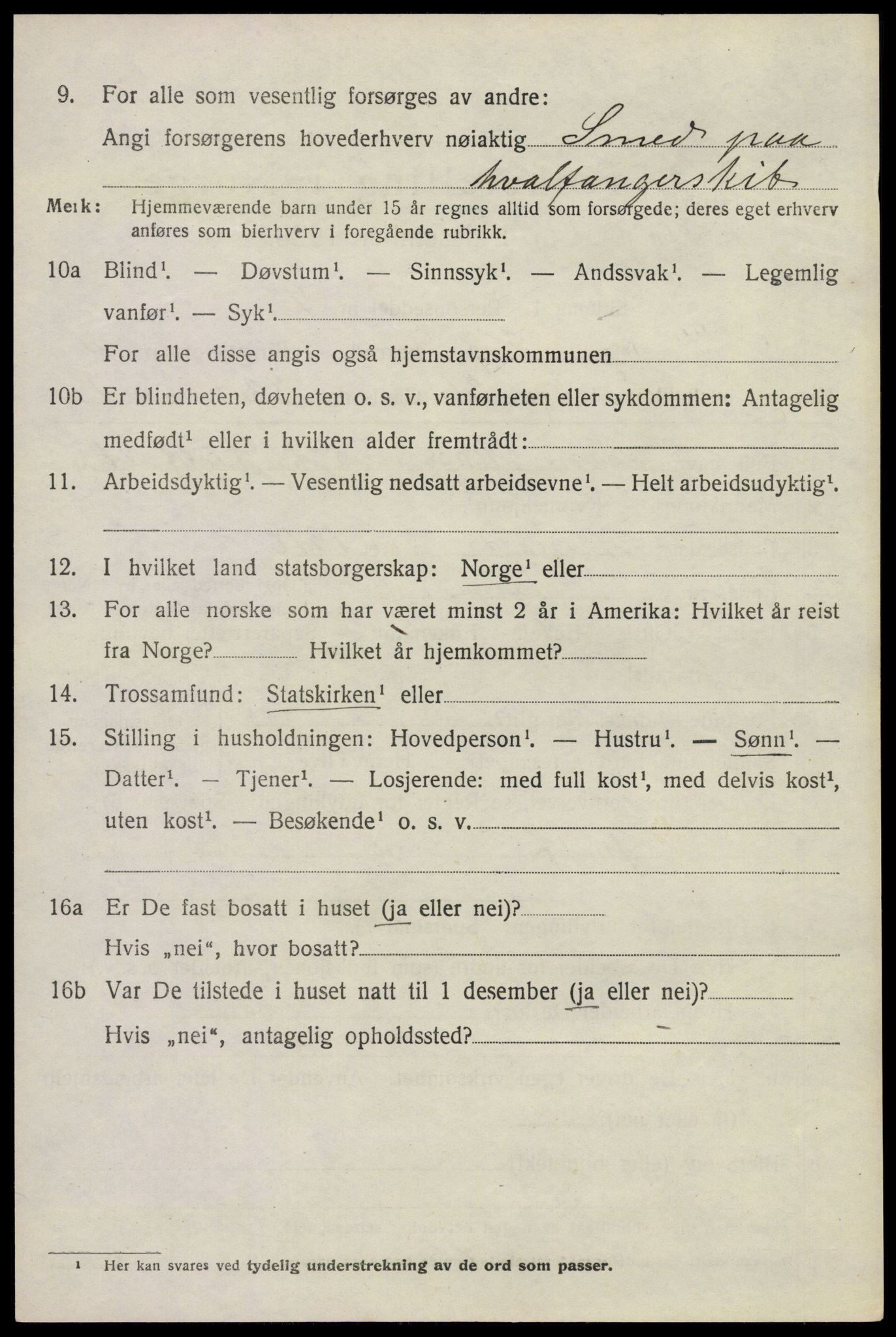 SAKO, 1920 census for Hof, 1920, p. 5238