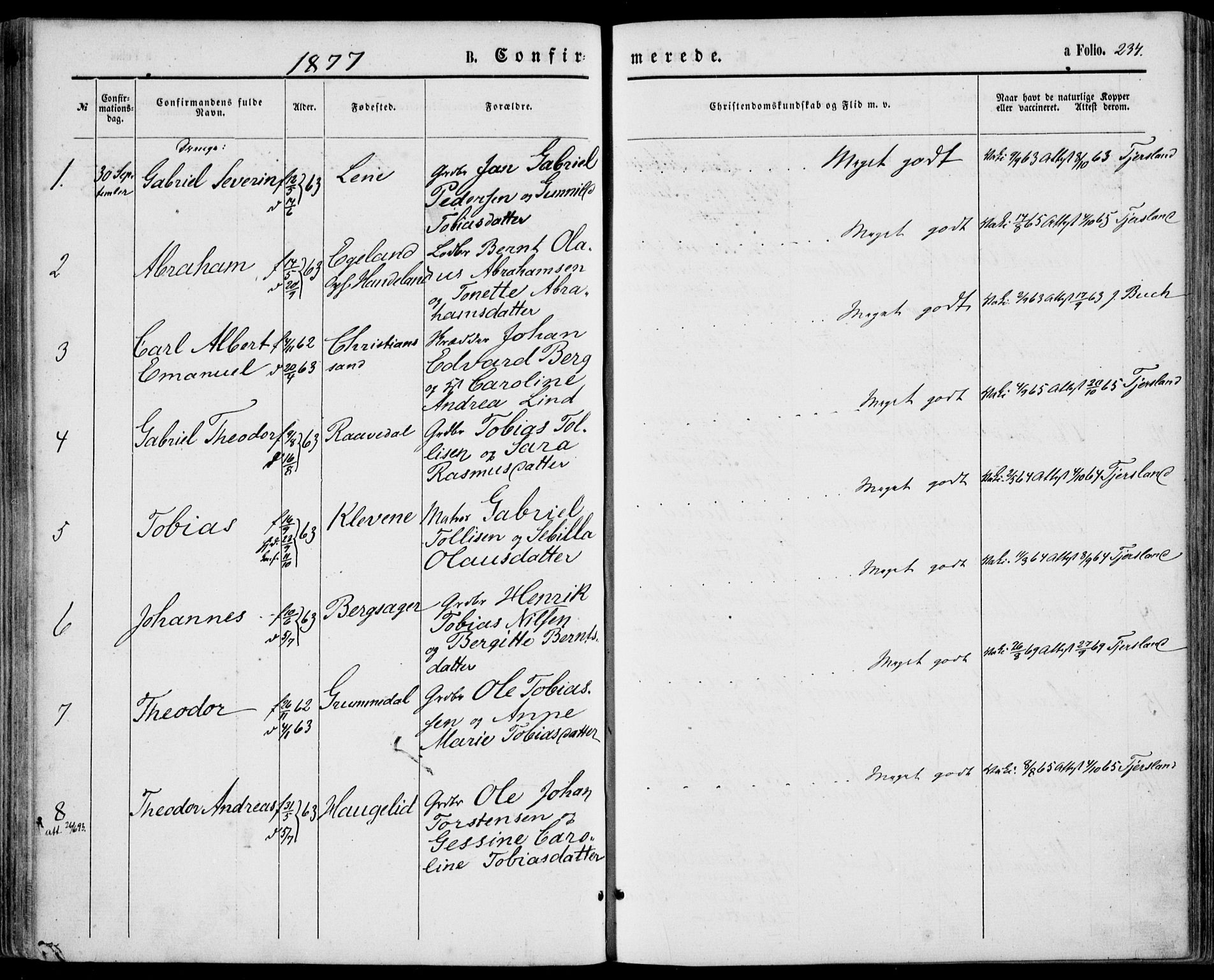 Lyngdal sokneprestkontor, SAK/1111-0029/F/Fa/Fac/L0010: Parish register (official) no. A 10, 1865-1878, p. 234