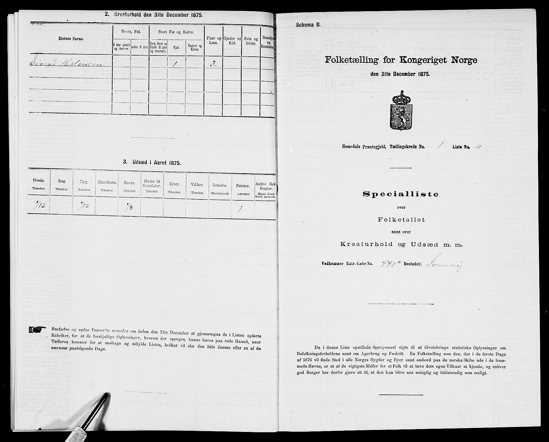 SAK, 1875 census for 0924P Homedal, 1875, p. 35