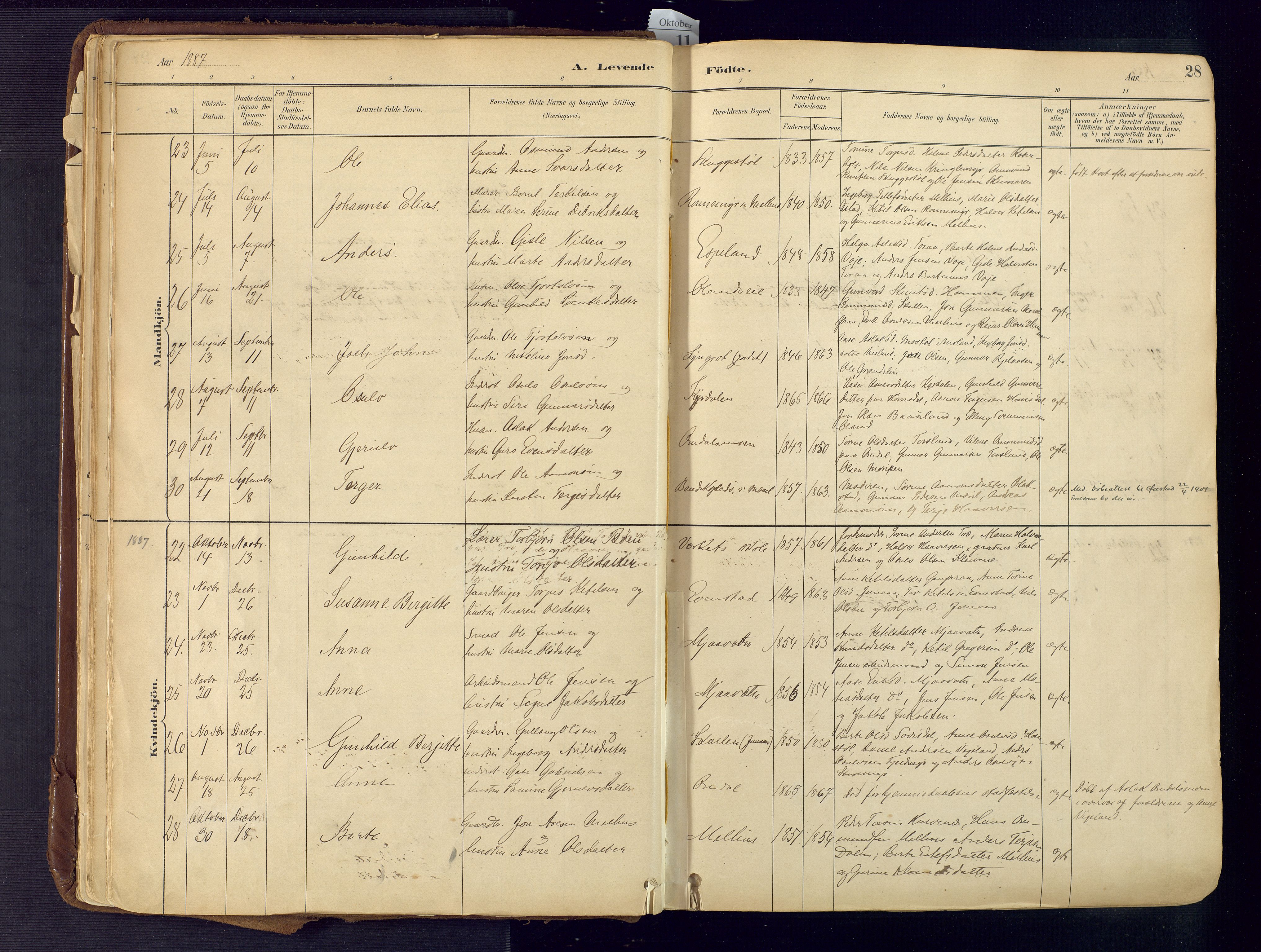 Froland sokneprestkontor, AV/SAK-1111-0013/F/Fa/L0005: Parish register (official) no. A 5, 1882-1921, p. 28