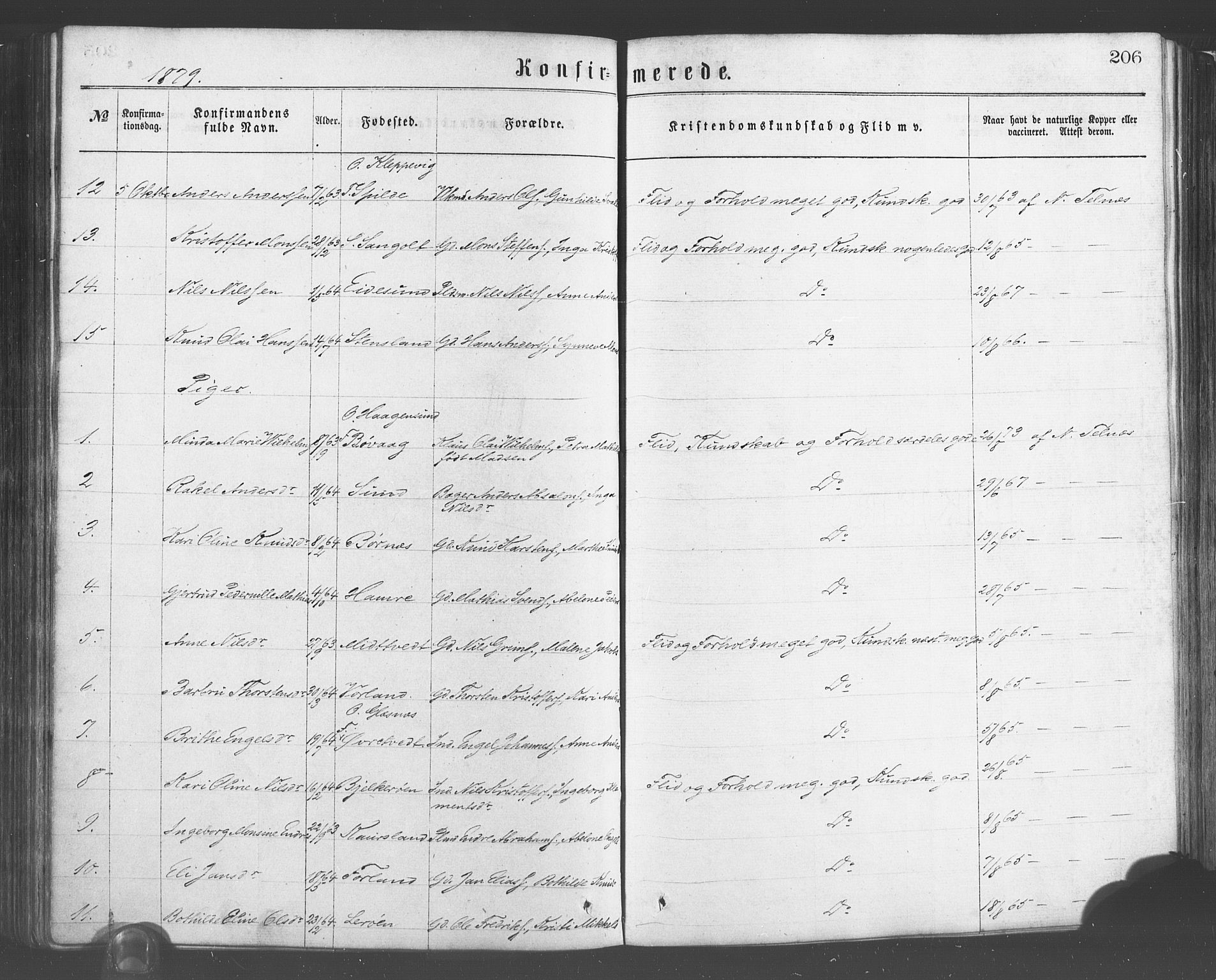 Sund sokneprestembete, AV/SAB-A-99930: Parish register (official) no. A 15, 1867-1881, p. 206