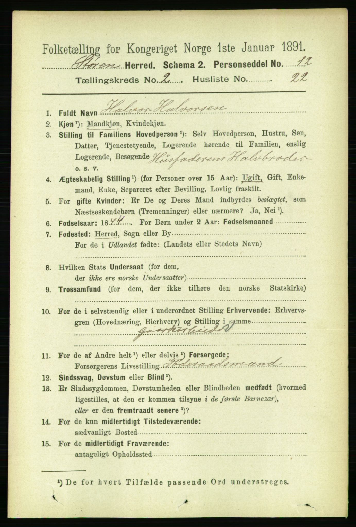 RA, 1891 census for 1648 Støren, 1891, p. 555