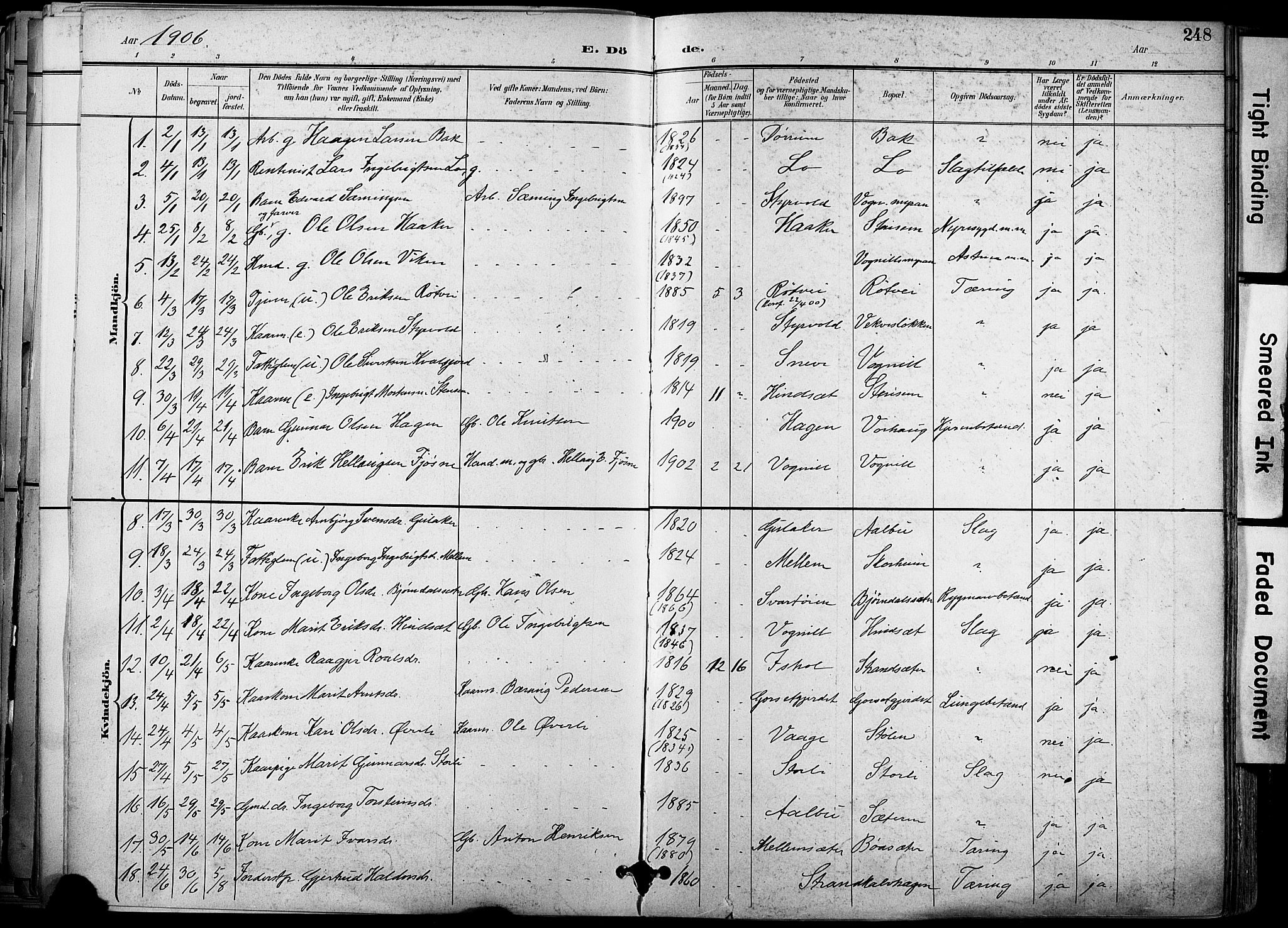 Ministerialprotokoller, klokkerbøker og fødselsregistre - Sør-Trøndelag, SAT/A-1456/678/L0902: Parish register (official) no. 678A11, 1895-1911, p. 248