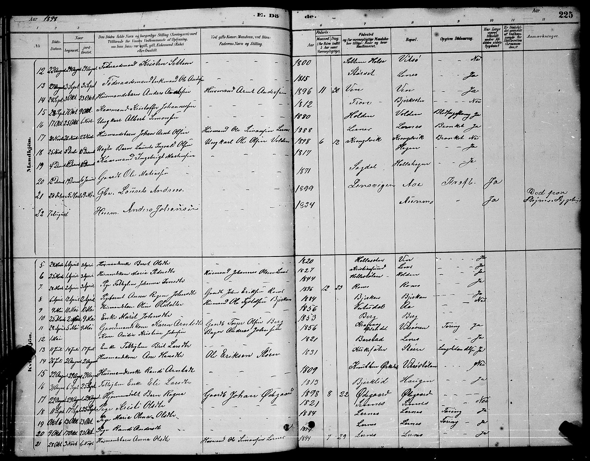 Ministerialprotokoller, klokkerbøker og fødselsregistre - Sør-Trøndelag, SAT/A-1456/630/L0504: Parish register (copy) no. 630C02, 1879-1898, p. 225a