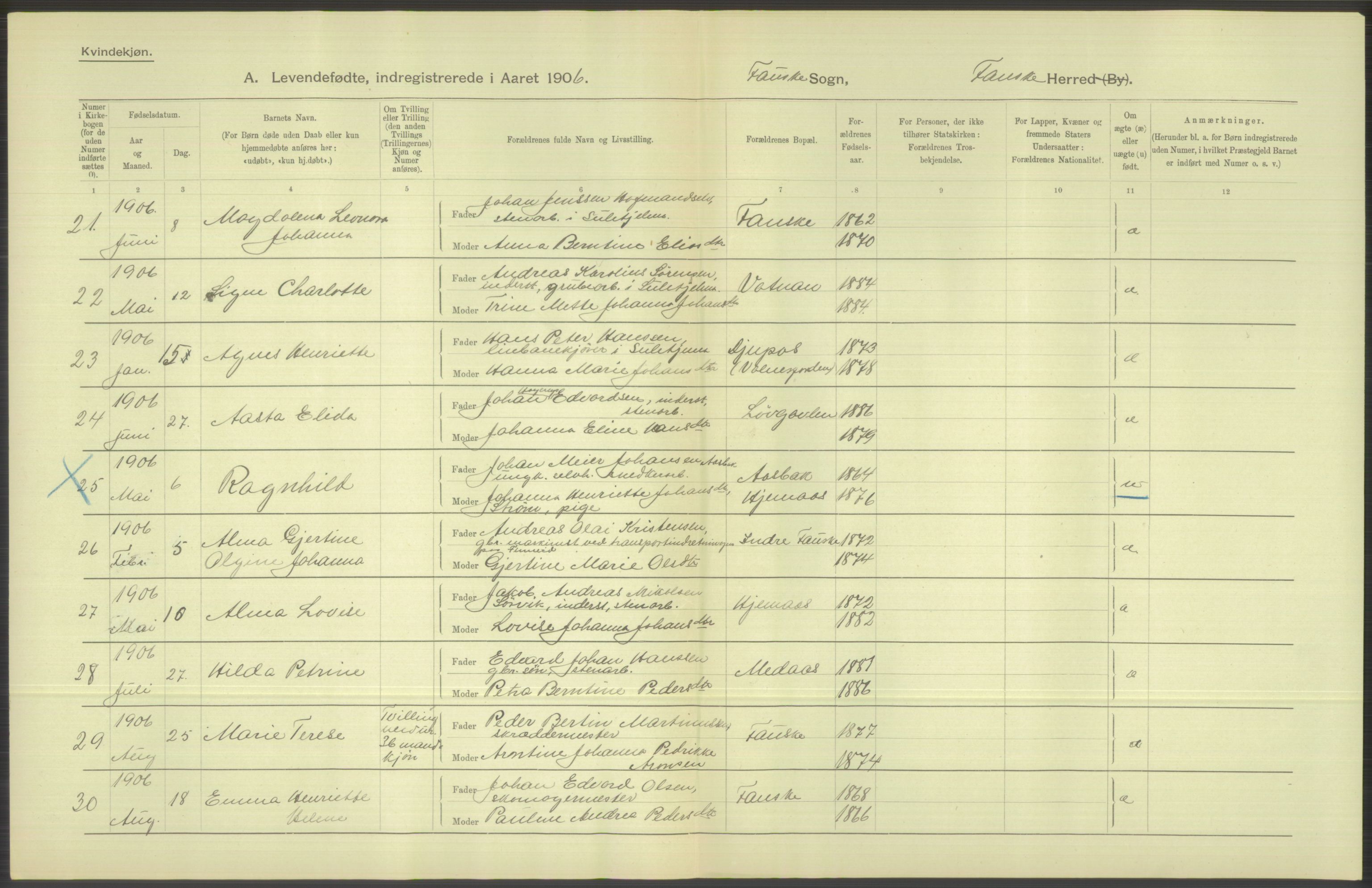 Statistisk sentralbyrå, Sosiodemografiske emner, Befolkning, AV/RA-S-2228/D/Df/Dfa/Dfad/L0044: Nordlands amt: Levendefødte menn og kvinner. Bygder., 1906, p. 206