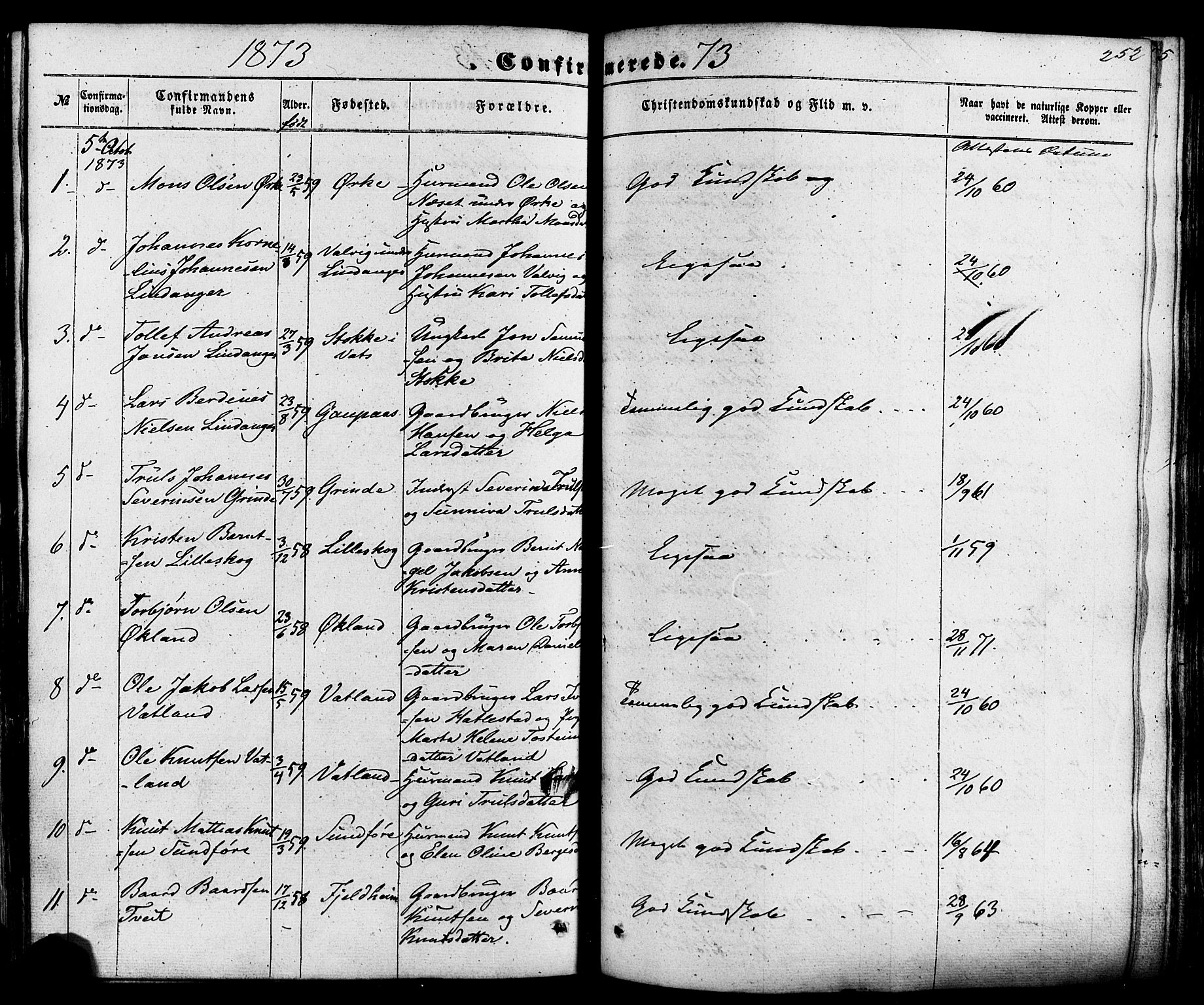 Skjold sokneprestkontor, AV/SAST-A-101847/H/Ha/Haa/L0008: Parish register (official) no. A 8, 1856-1882, p. 252