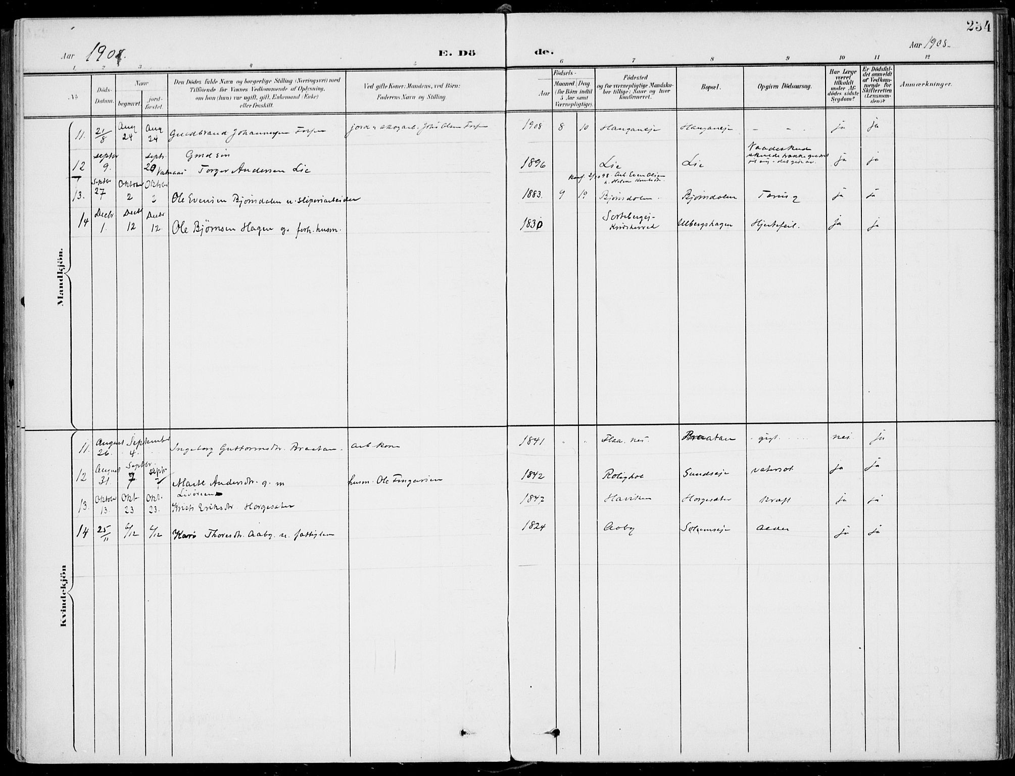 Sigdal kirkebøker, AV/SAKO-A-245/F/Fb/L0002: Parish register (official) no. II 2, 1901-1914, p. 234