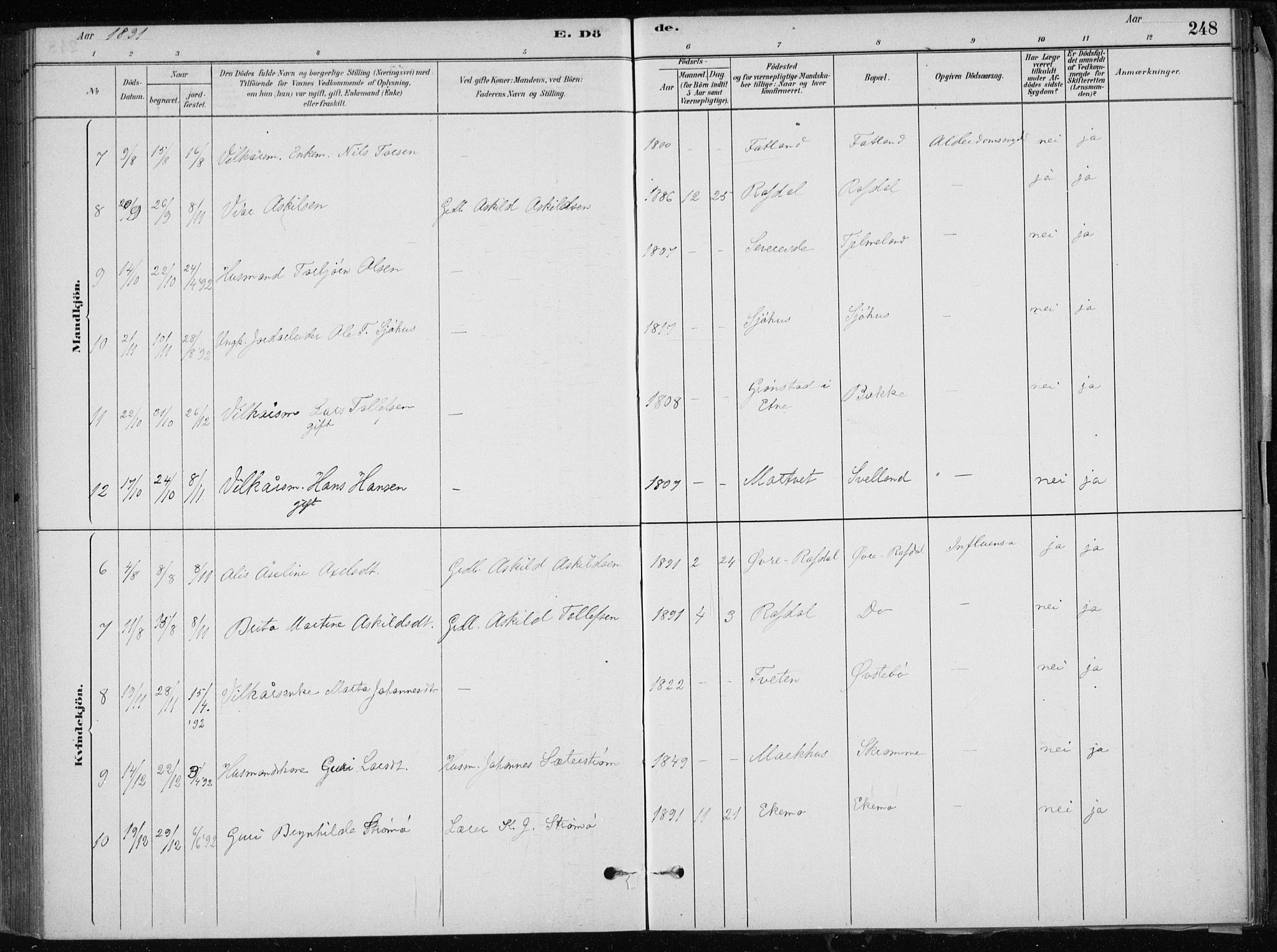 Skånevik sokneprestembete, AV/SAB-A-77801/H/Haa: Parish register (official) no. E  1, 1879-1901, p. 248