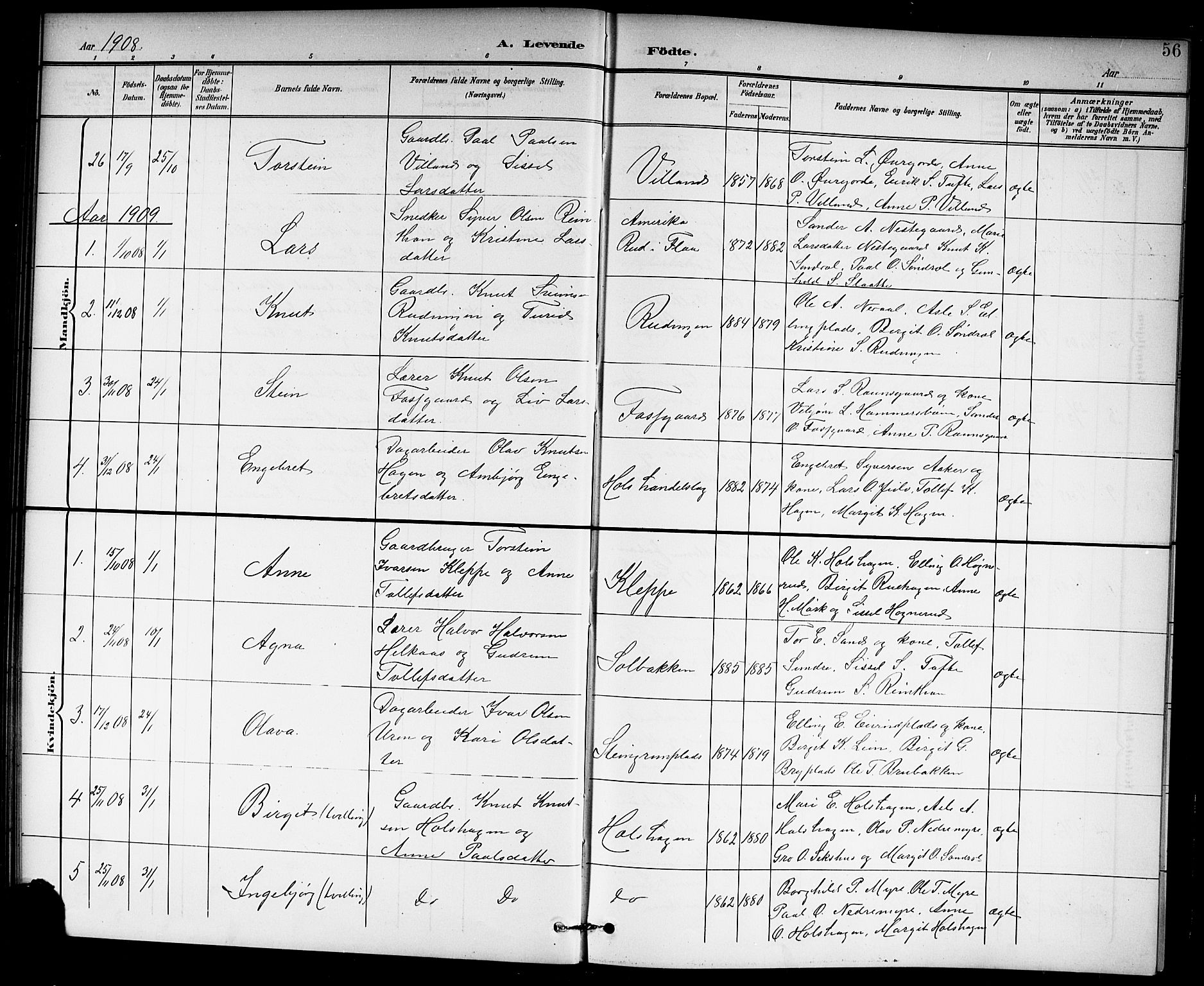 Hol kirkebøker, SAKO/A-227/G/Ga/L0001: Parish register (copy) no. I 1, 1900-1919, p. 56