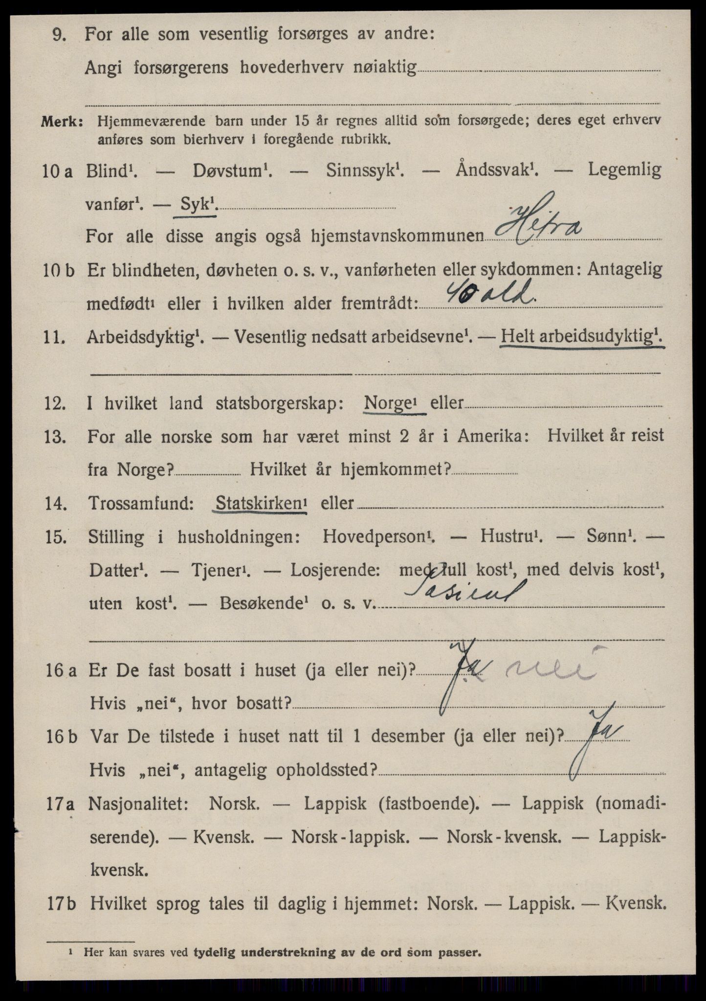 SAT, 1920 census for Hemne, 1920, p. 6119