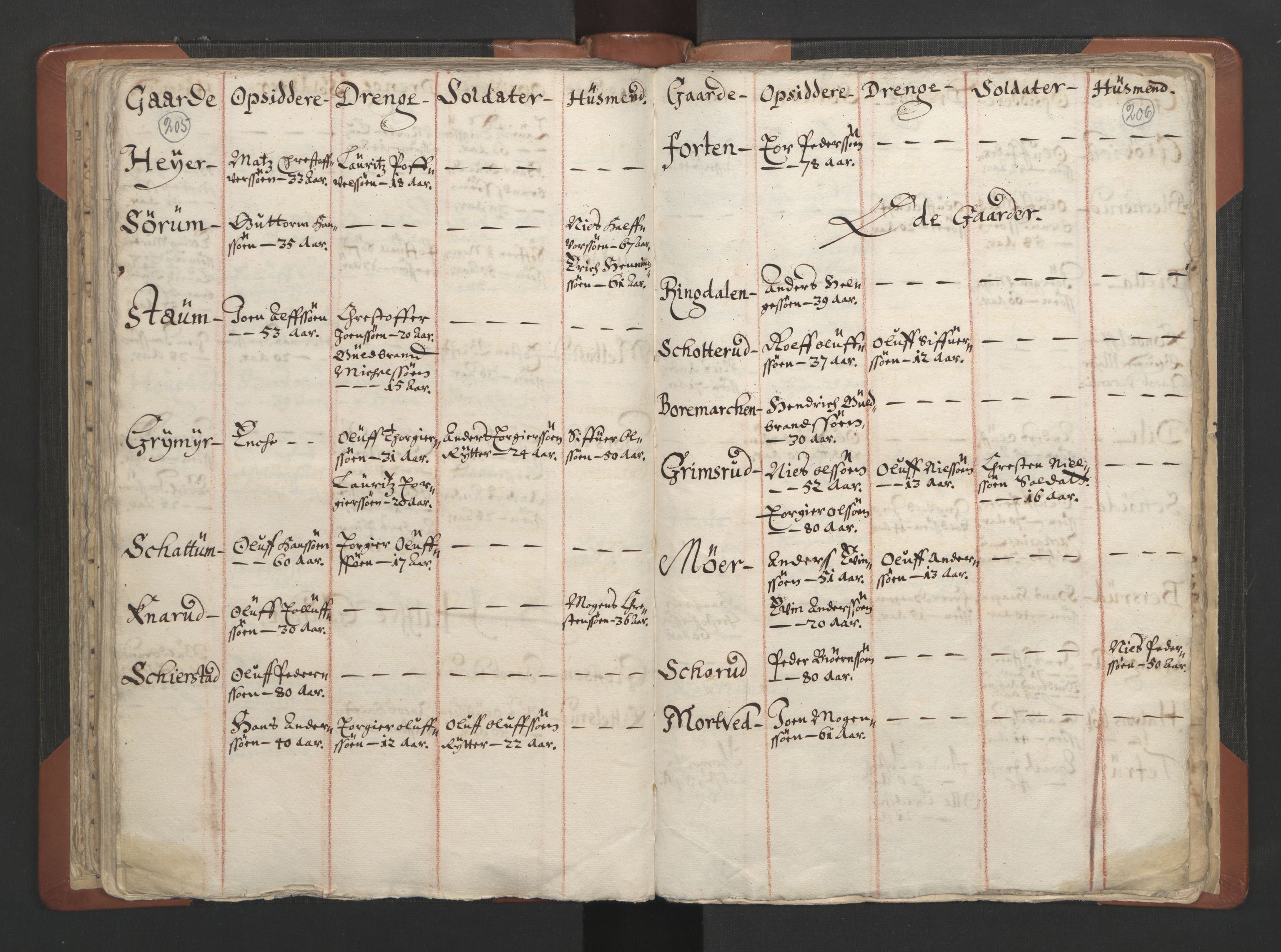 RA, Vicar's Census 1664-1666, no. 7: Hadeland deanery, 1664-1666, p. 205-206