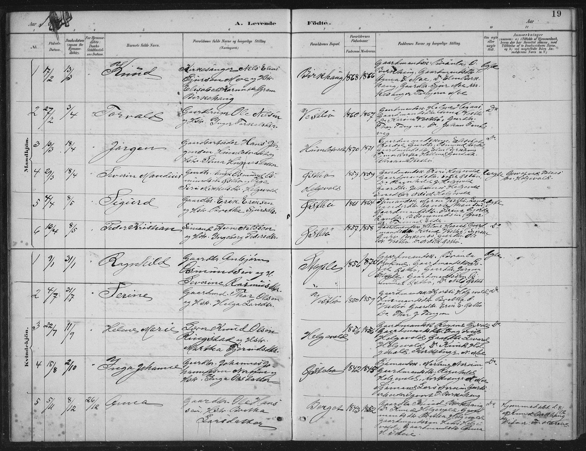 Vikedal sokneprestkontor, AV/SAST-A-101840/01/IV: Parish register (official) no. A 11, 1884-1933, p. 19