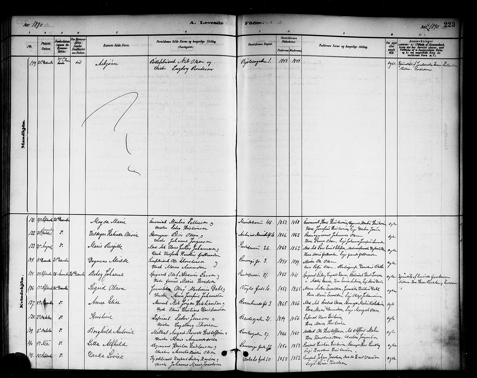 Sagene prestekontor Kirkebøker, AV/SAO-A-10796/G/L0001: Parish register (copy) no. 1, 1880-1891, p. 223