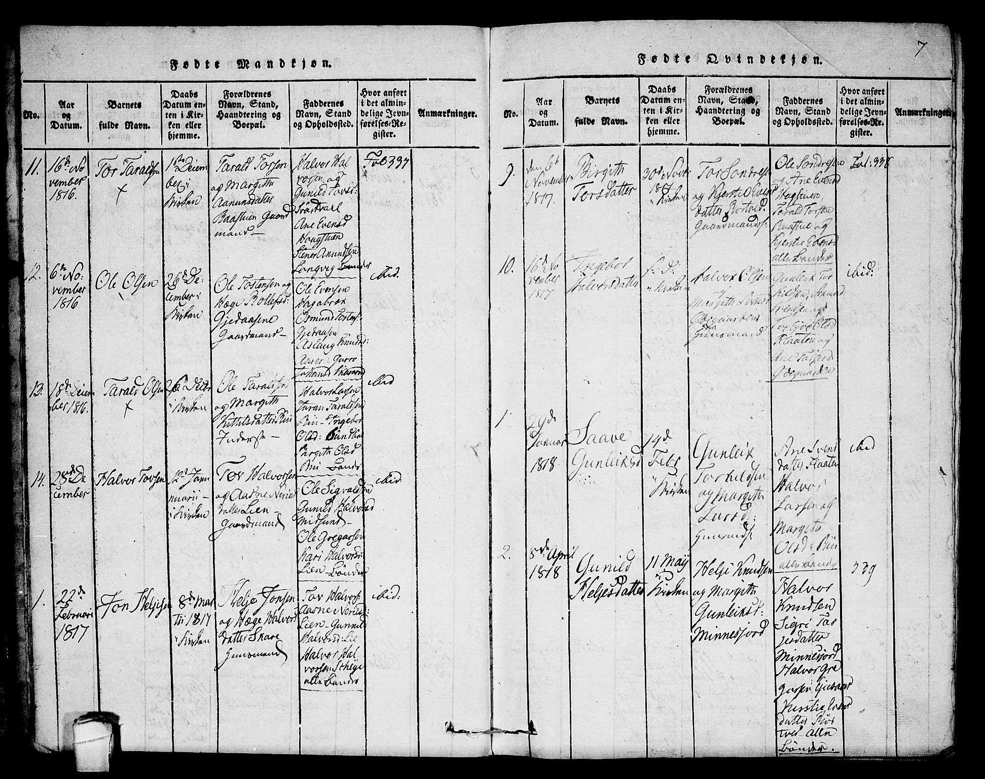 Seljord kirkebøker, SAKO/A-20/F/Fb/L0001: Parish register (official) no. II 1, 1815-1831, p. 7