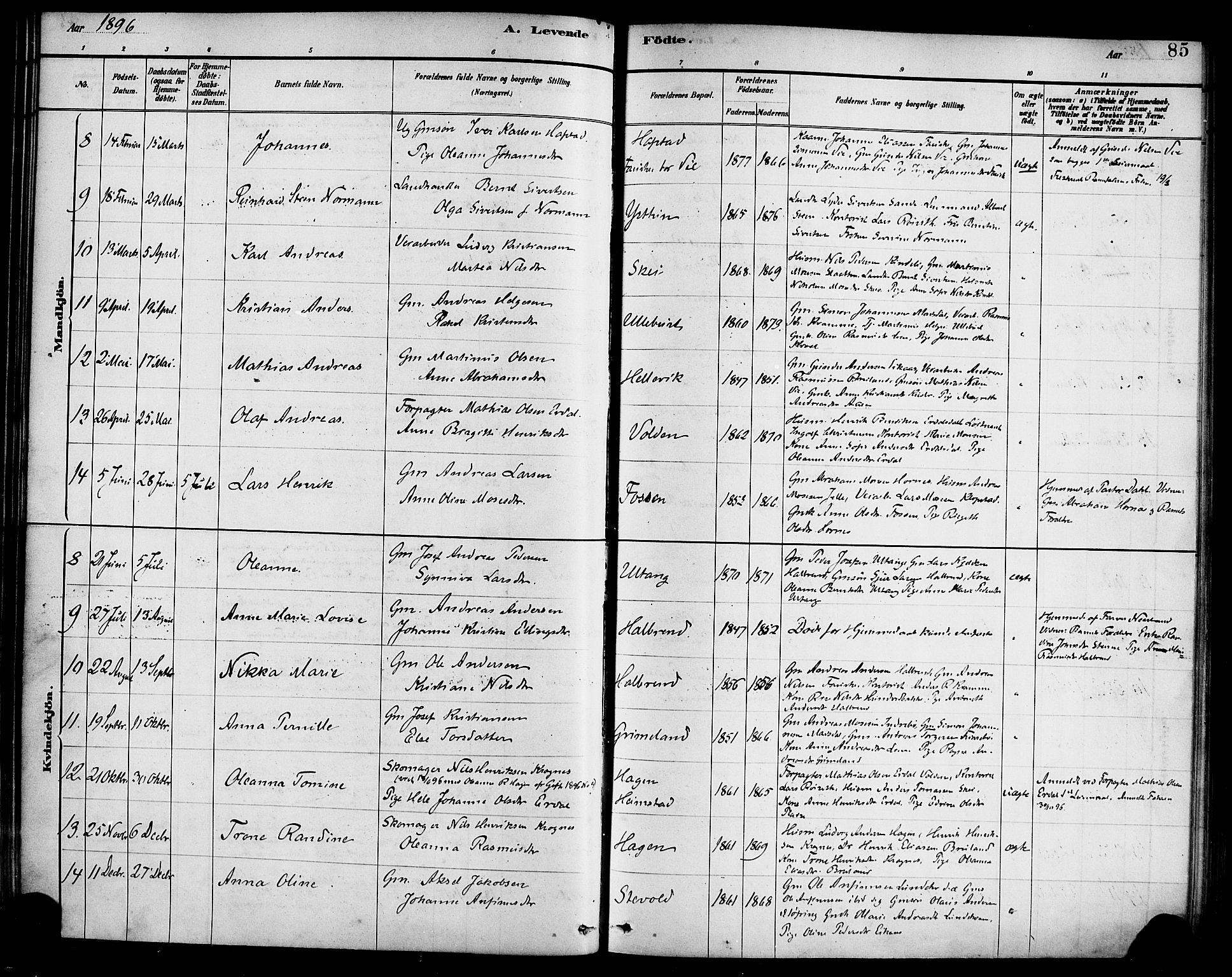 Førde sokneprestembete, SAB/A-79901/H/Haa/Haab/L0001: Parish register (official) no. B 1, 1880-1898, p. 85