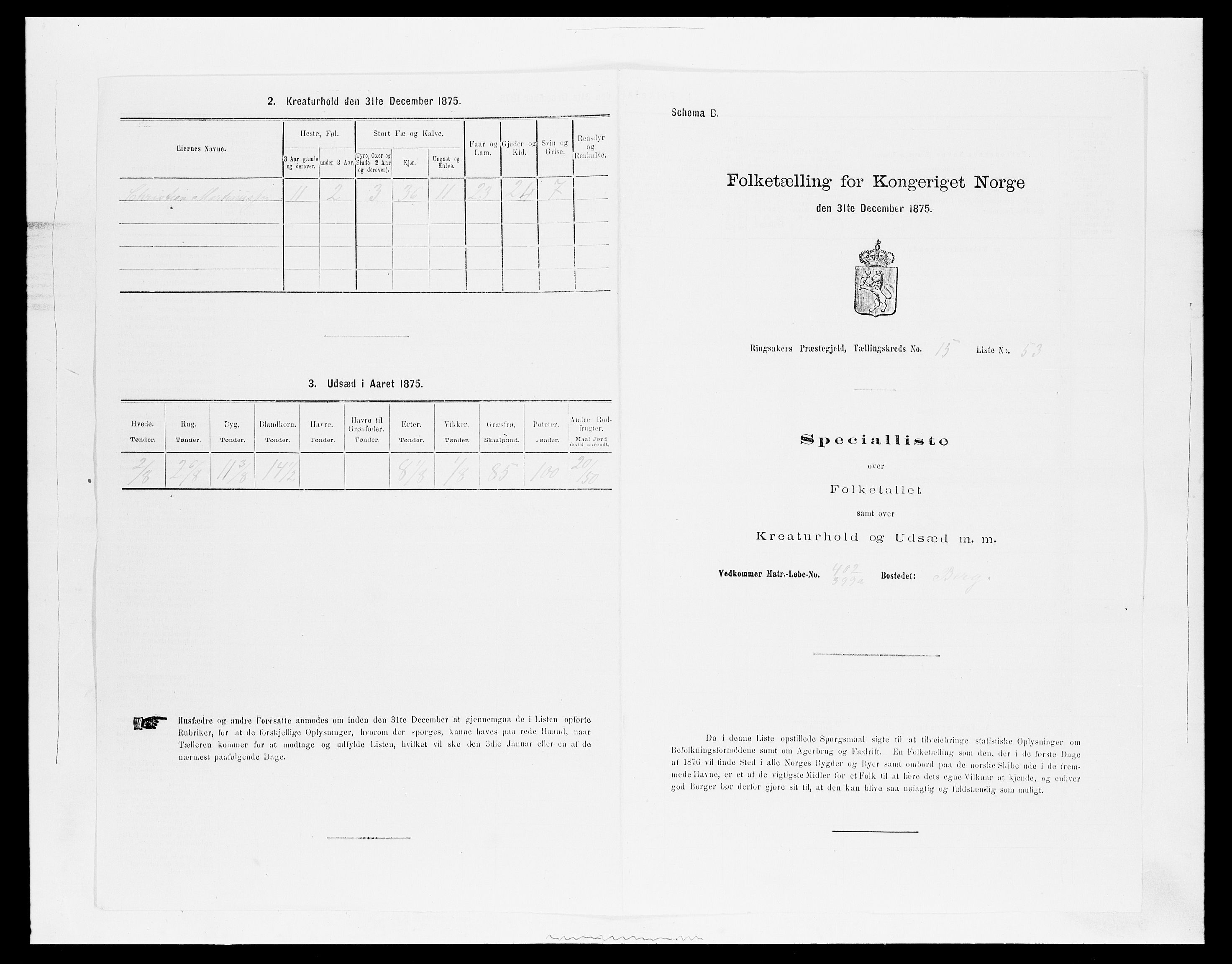 SAH, 1875 census for 0412P Ringsaker, 1875, p. 3137