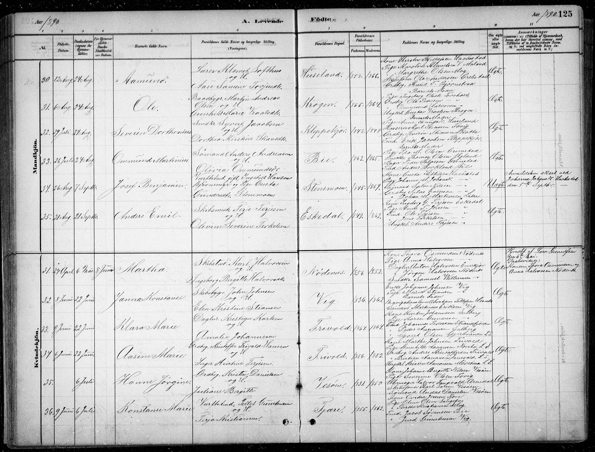 Fjære sokneprestkontor, AV/SAK-1111-0011/F/Fb/L0011: Parish register (copy) no. B 11, 1881-1905, p. 125