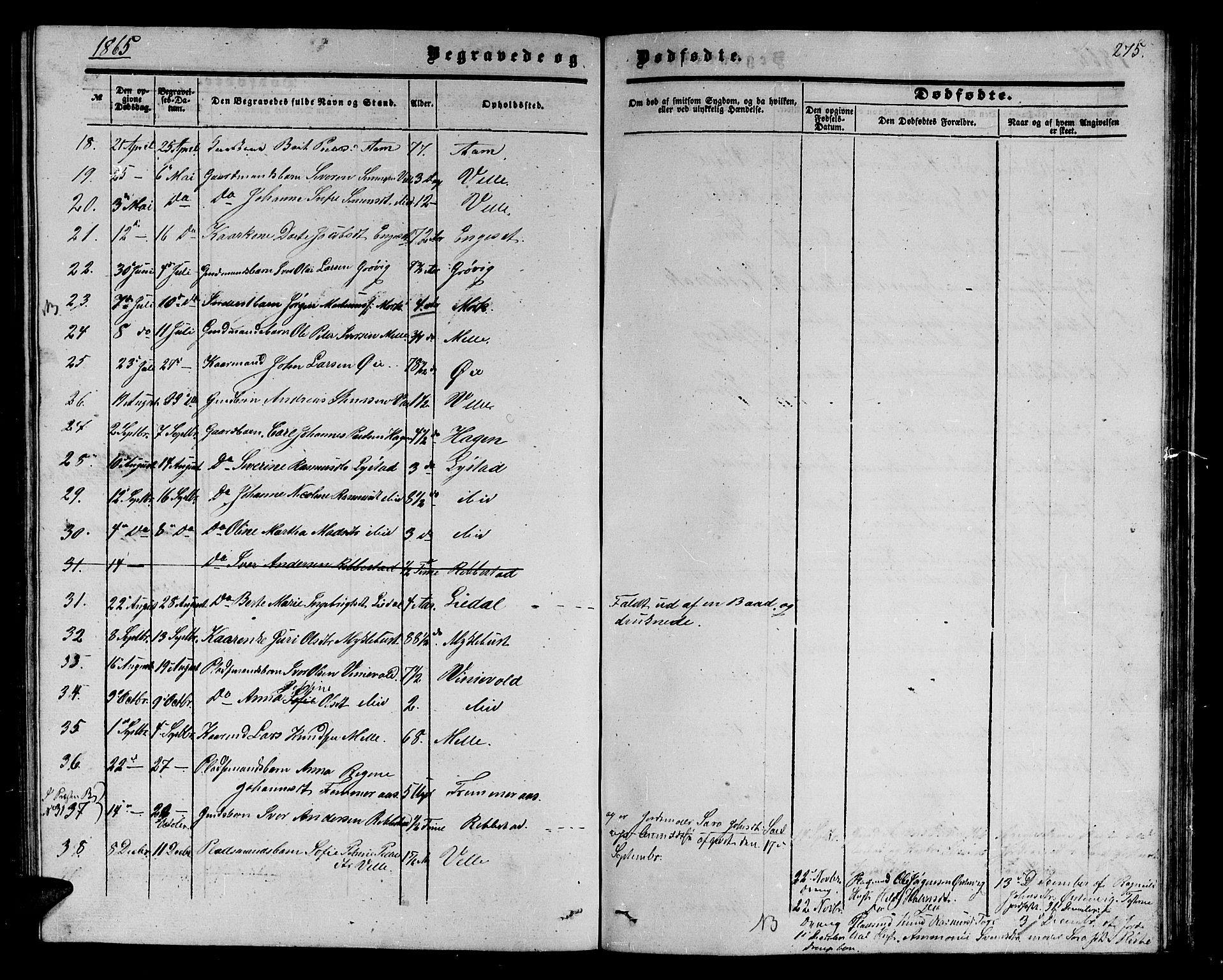 Ministerialprotokoller, klokkerbøker og fødselsregistre - Møre og Romsdal, AV/SAT-A-1454/513/L0188: Parish register (copy) no. 513C02, 1865-1882, p. 275